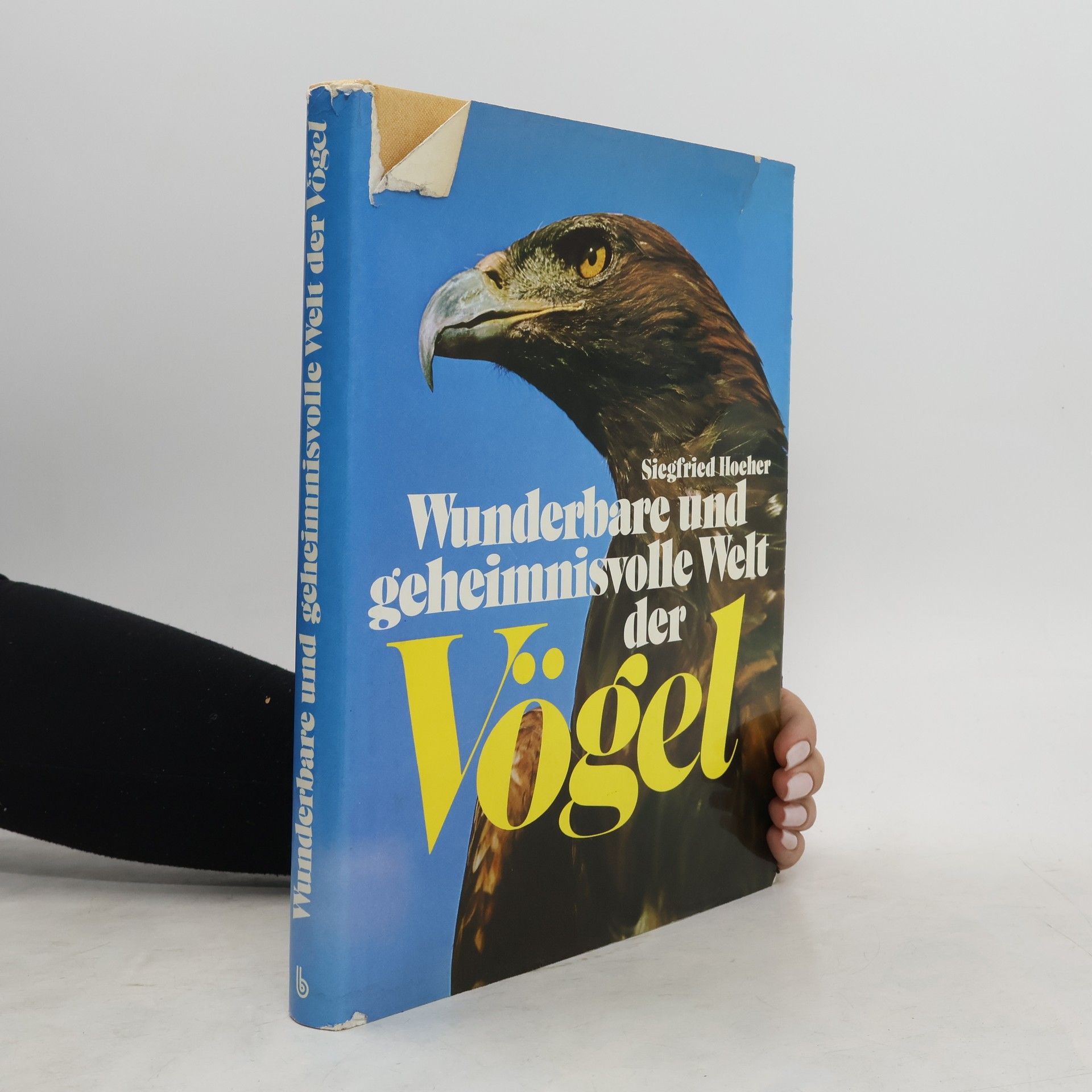 Siegfried Höher Wunderbare und geheimnisvolle Welt der Vögel