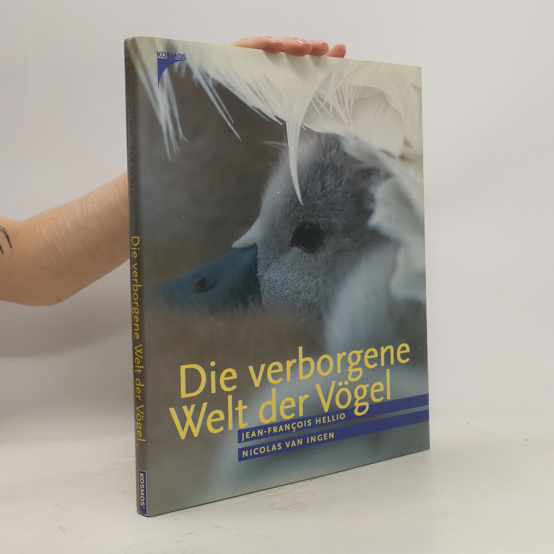 Jean-François Hellio Die verborgene Welt der Vögel