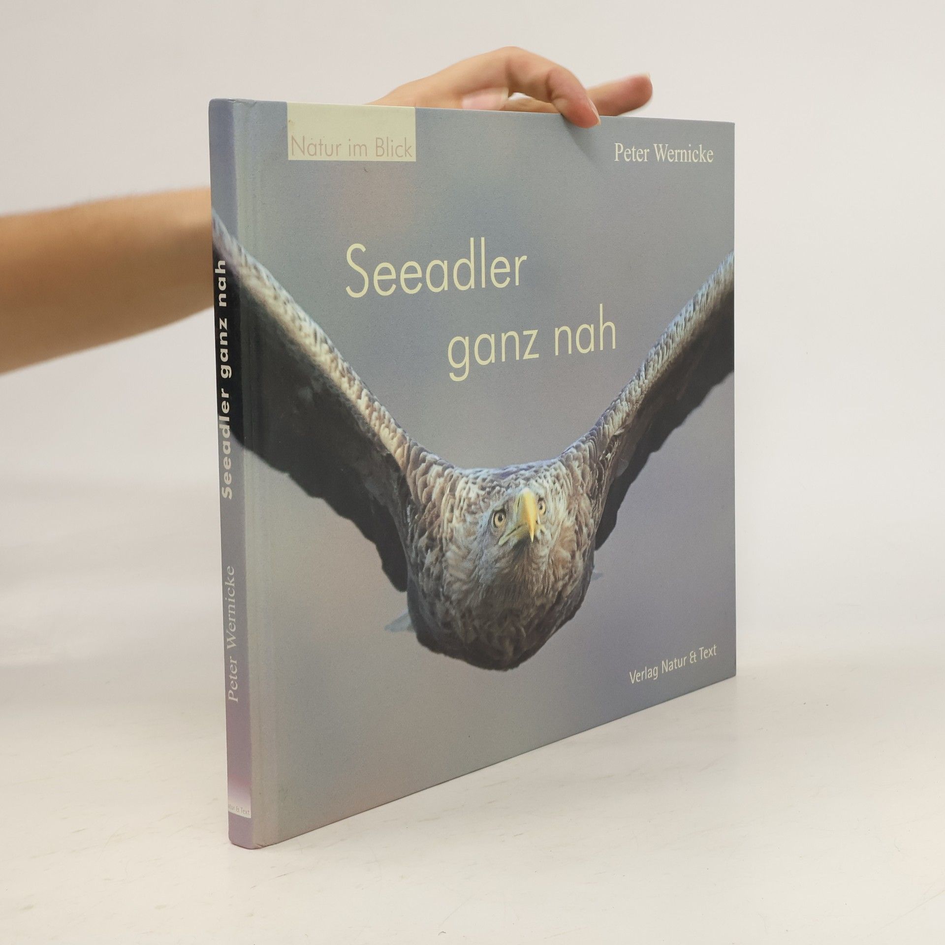 Peter Wernicke Seeadler ganz nah