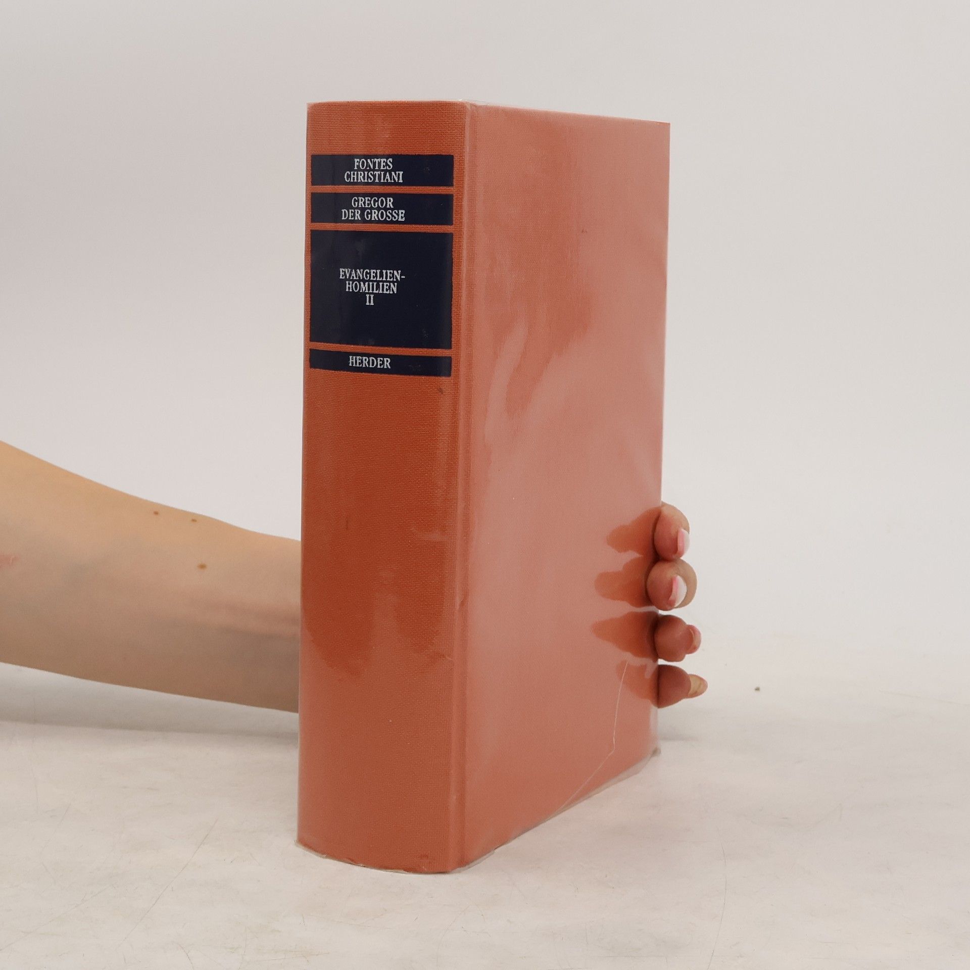 Collectif d'auteurs Gregor der Grosse