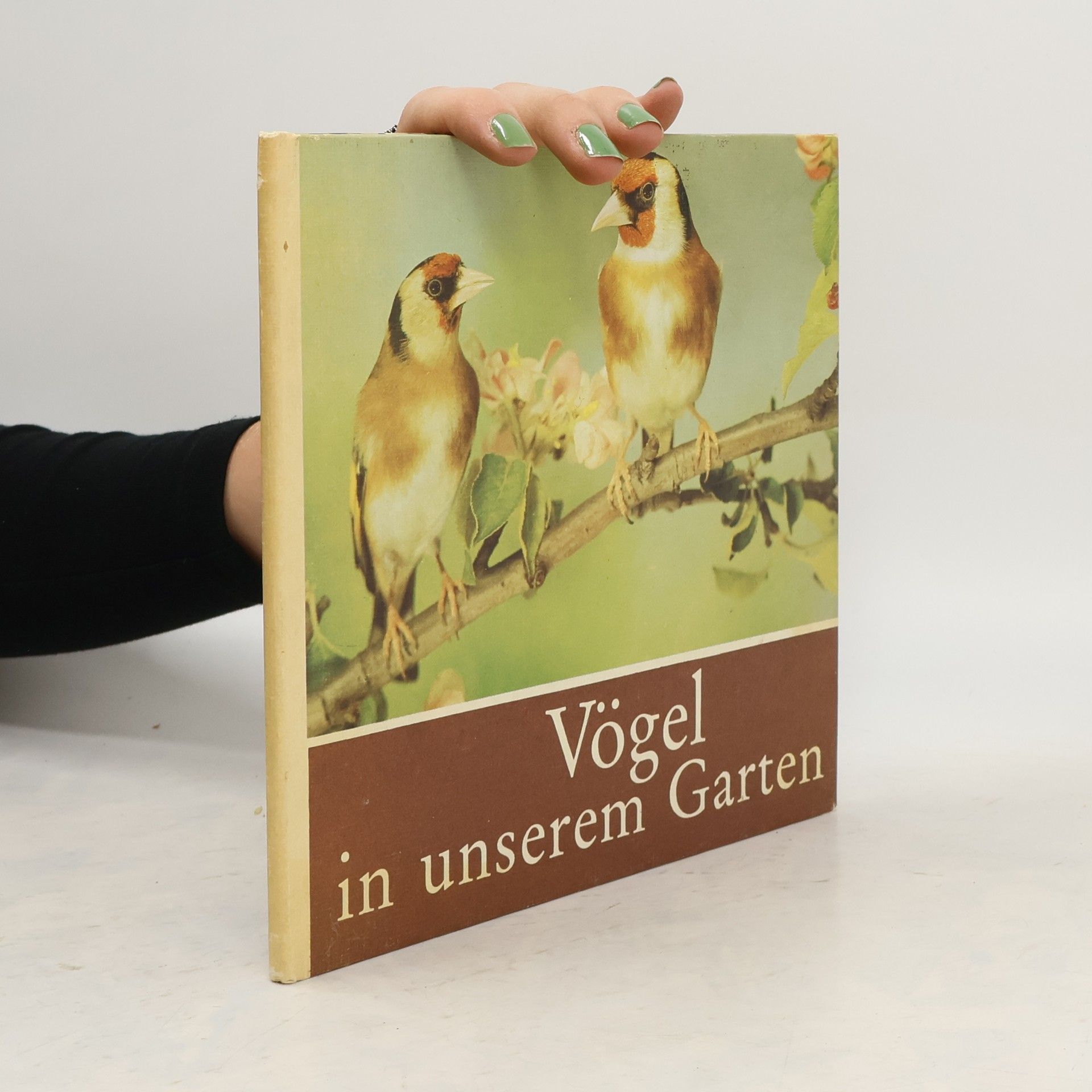 Autorenkollektiv Vögel in unserem Garten