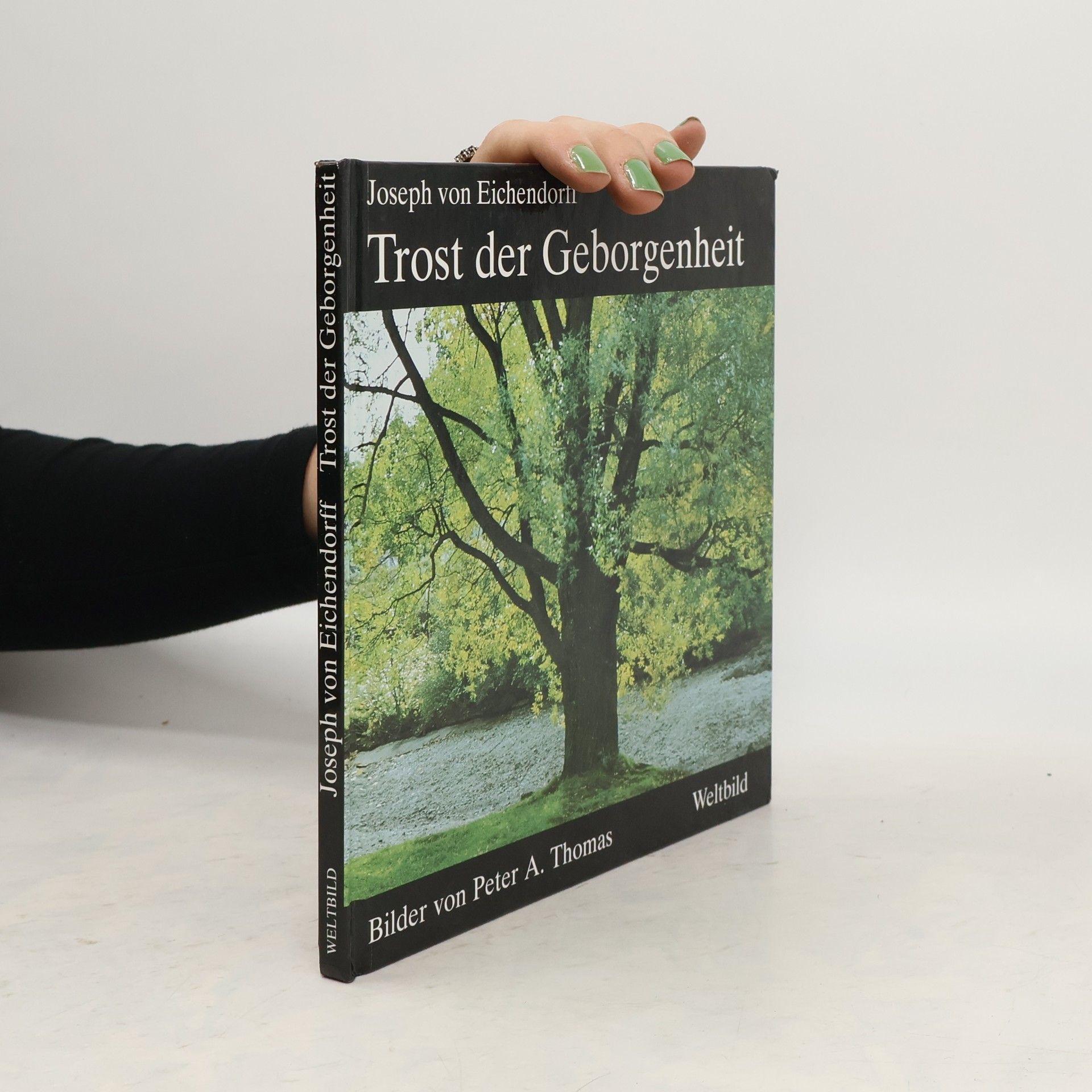 Peter A. Thomas Das Gute wacht in uns