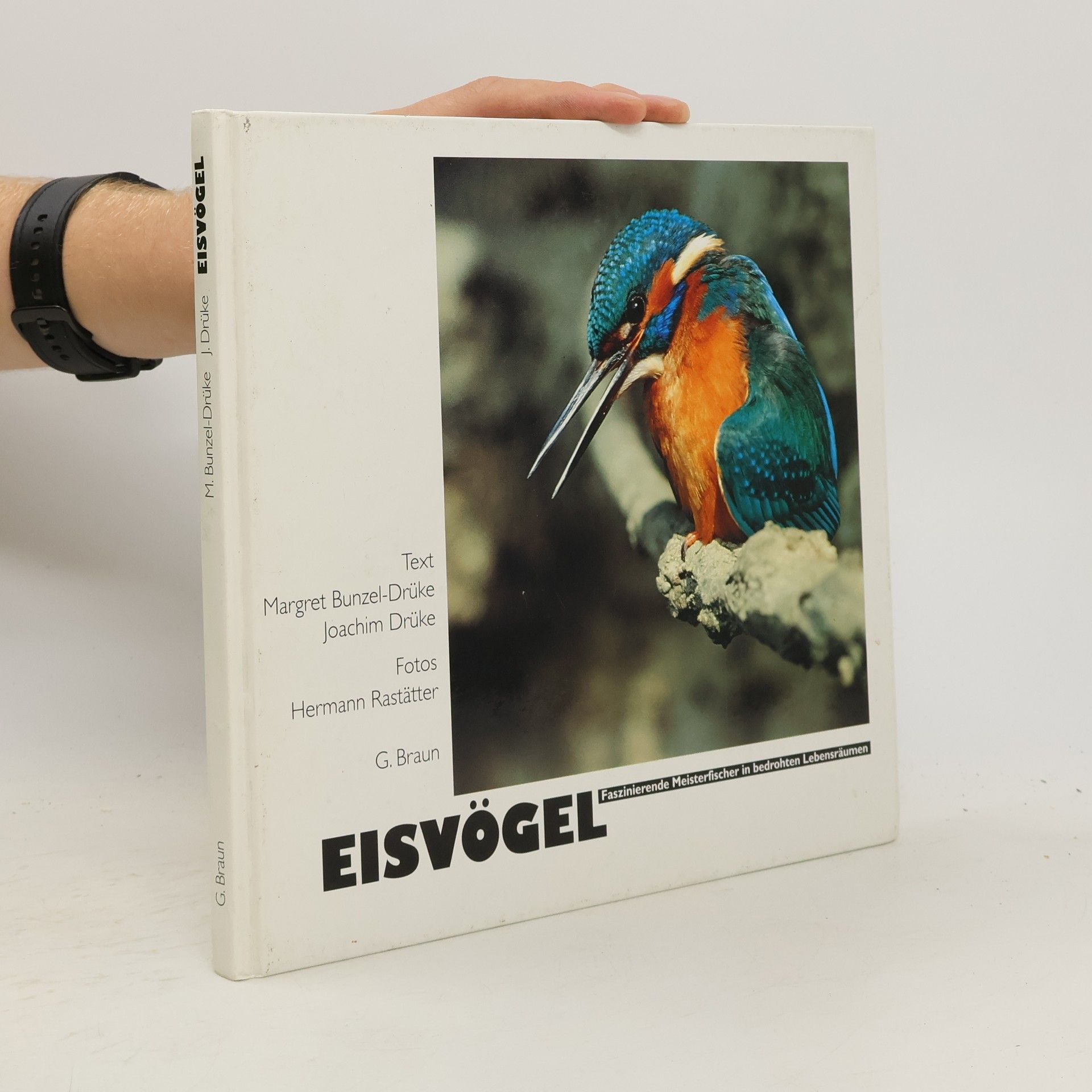 Margret Bunzel-Drüke Eisvögel