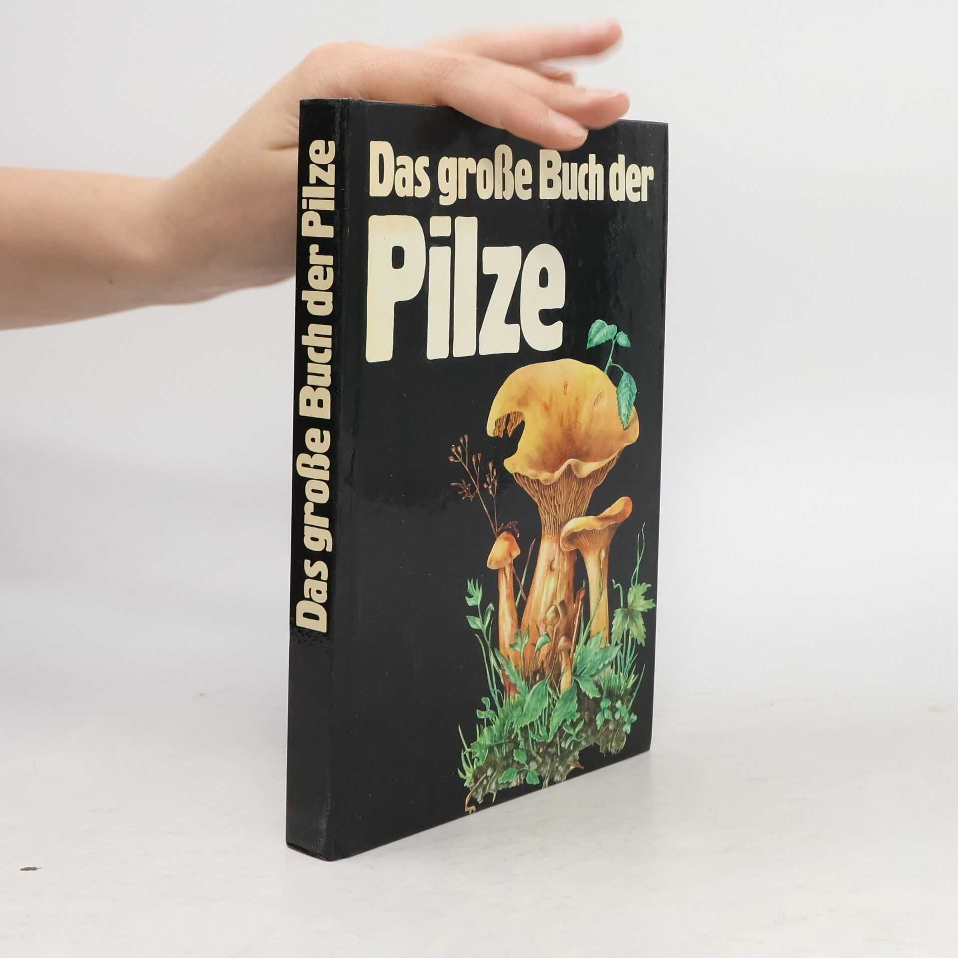 Autorenkollektiv Das große Buch der Pilze