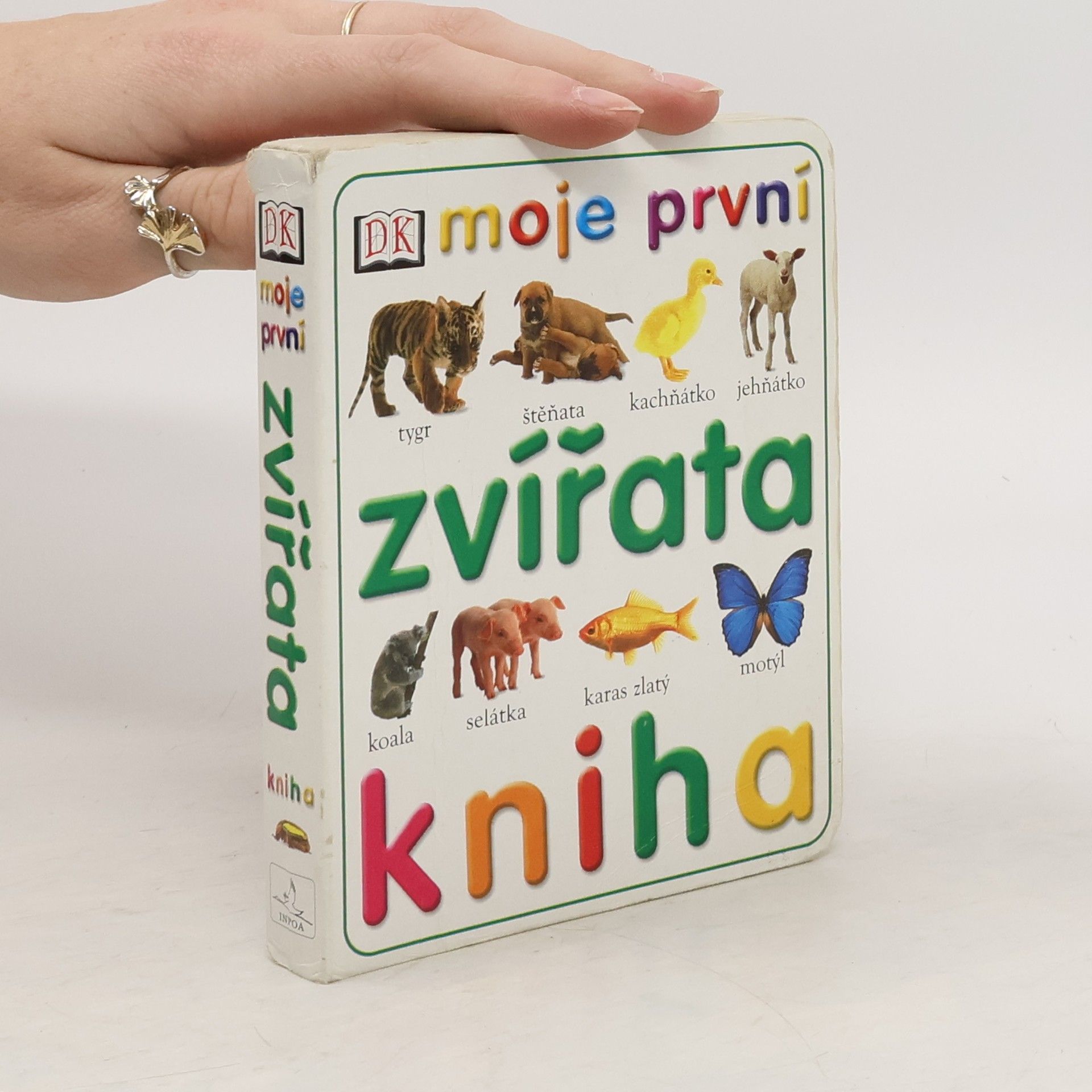 Collective Zvířata