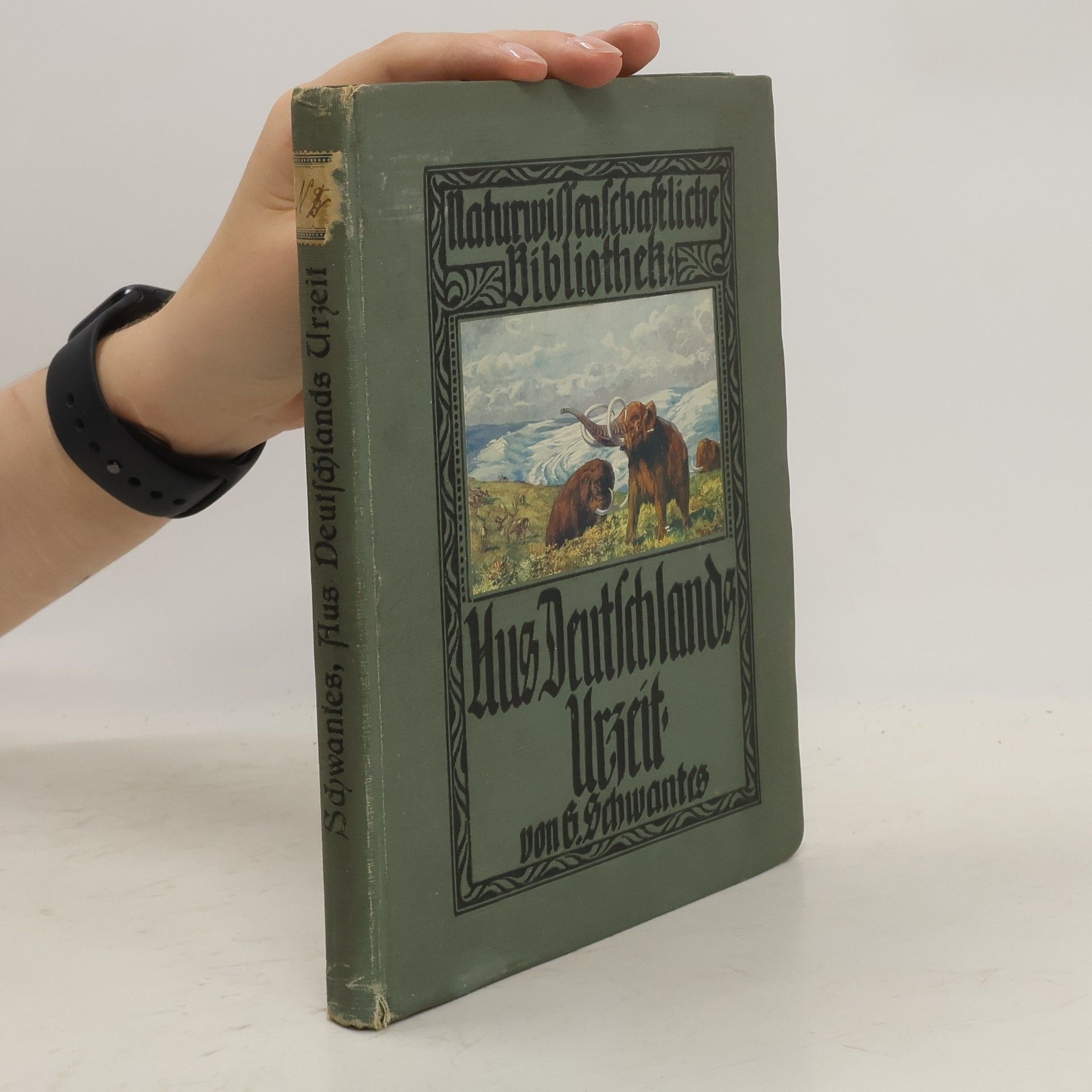 Gustav Schwantes Aus Deutschlands Urgeschichte