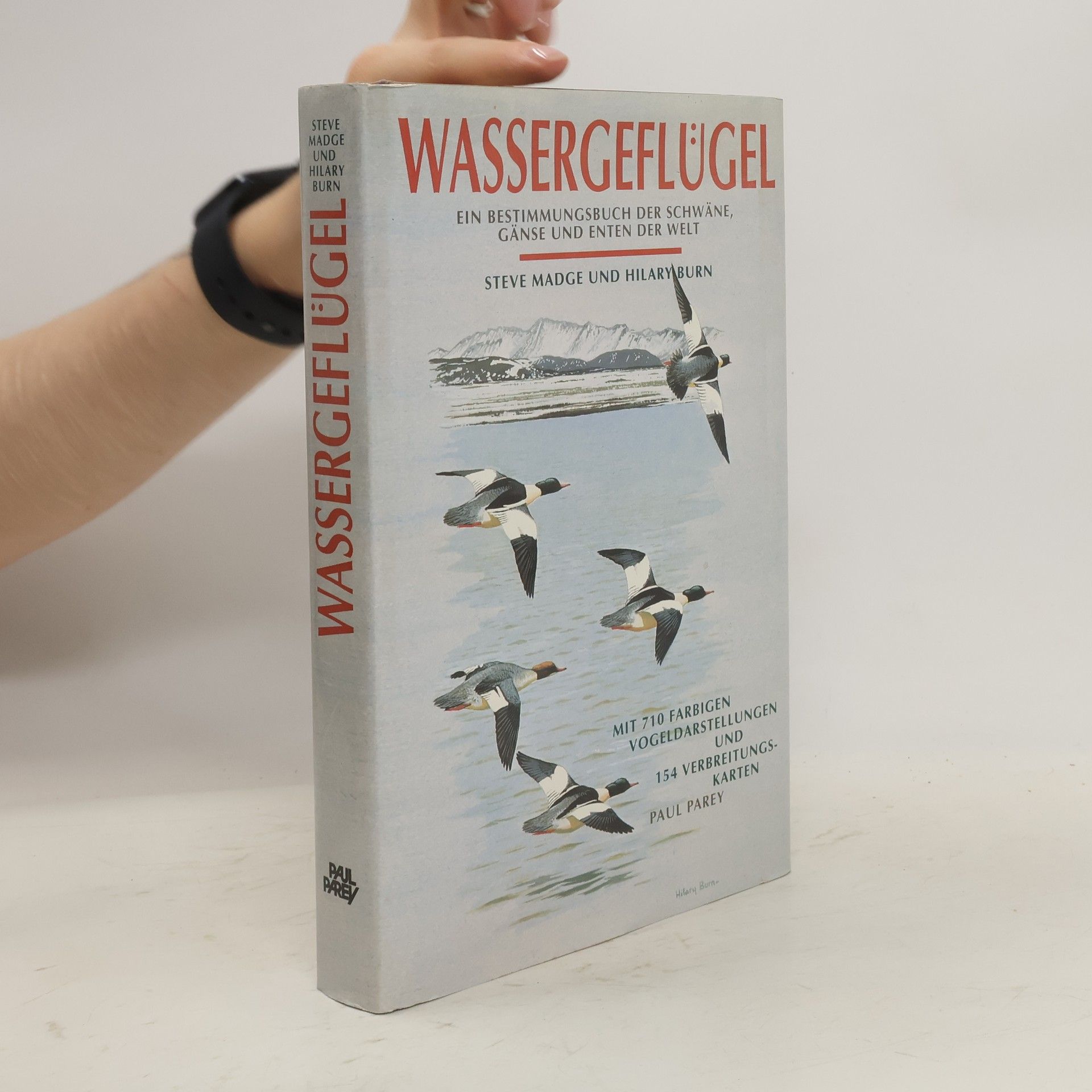 Steve Madge Wassergeflügel