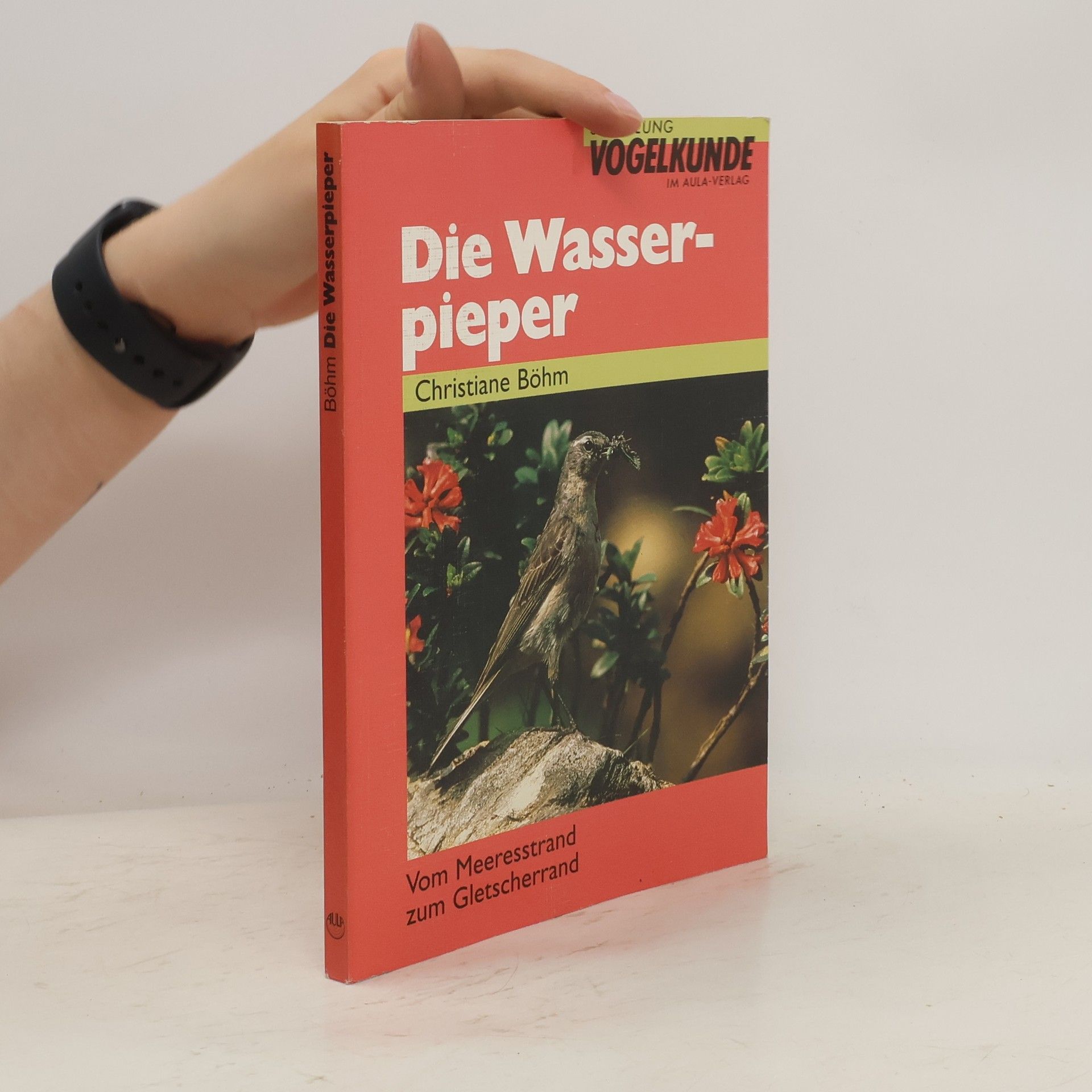 Christiane Böhm Die Wasserpieper