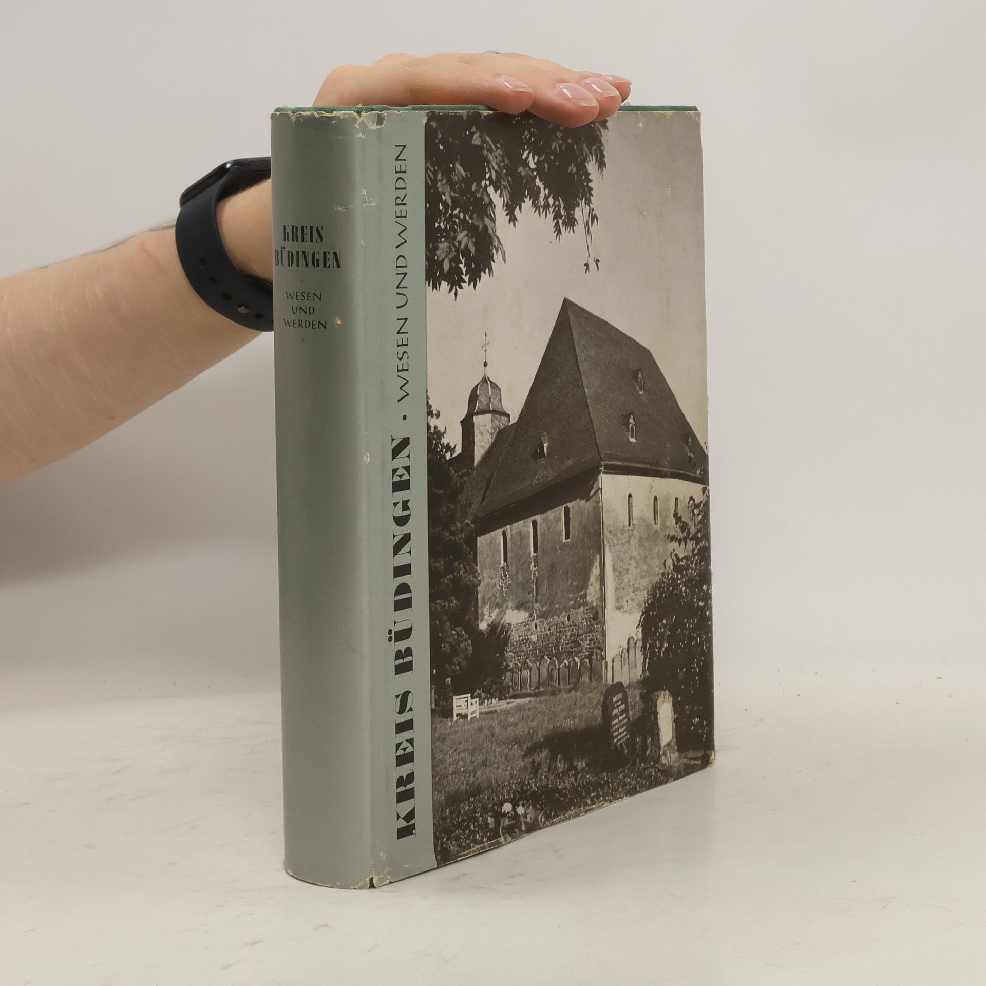 Kolektiv autorů Kreis Büdingen