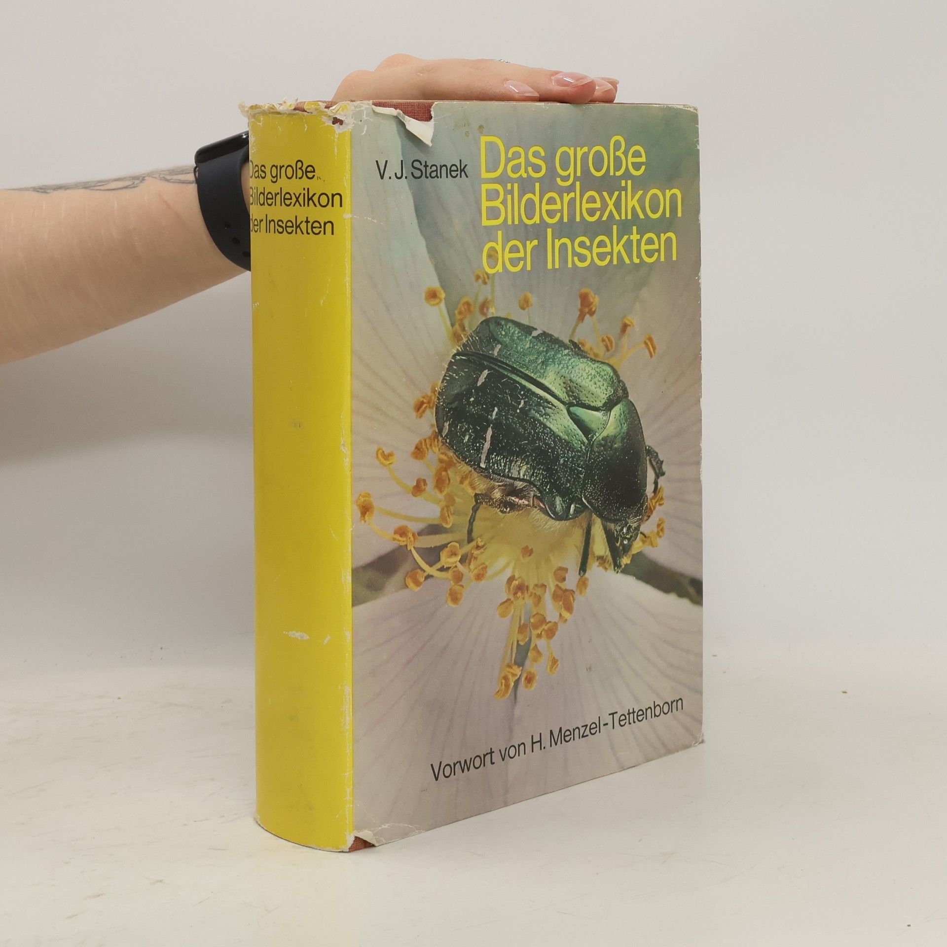 Václav Jan Staněk Das große Bilderlexikon der Insekten