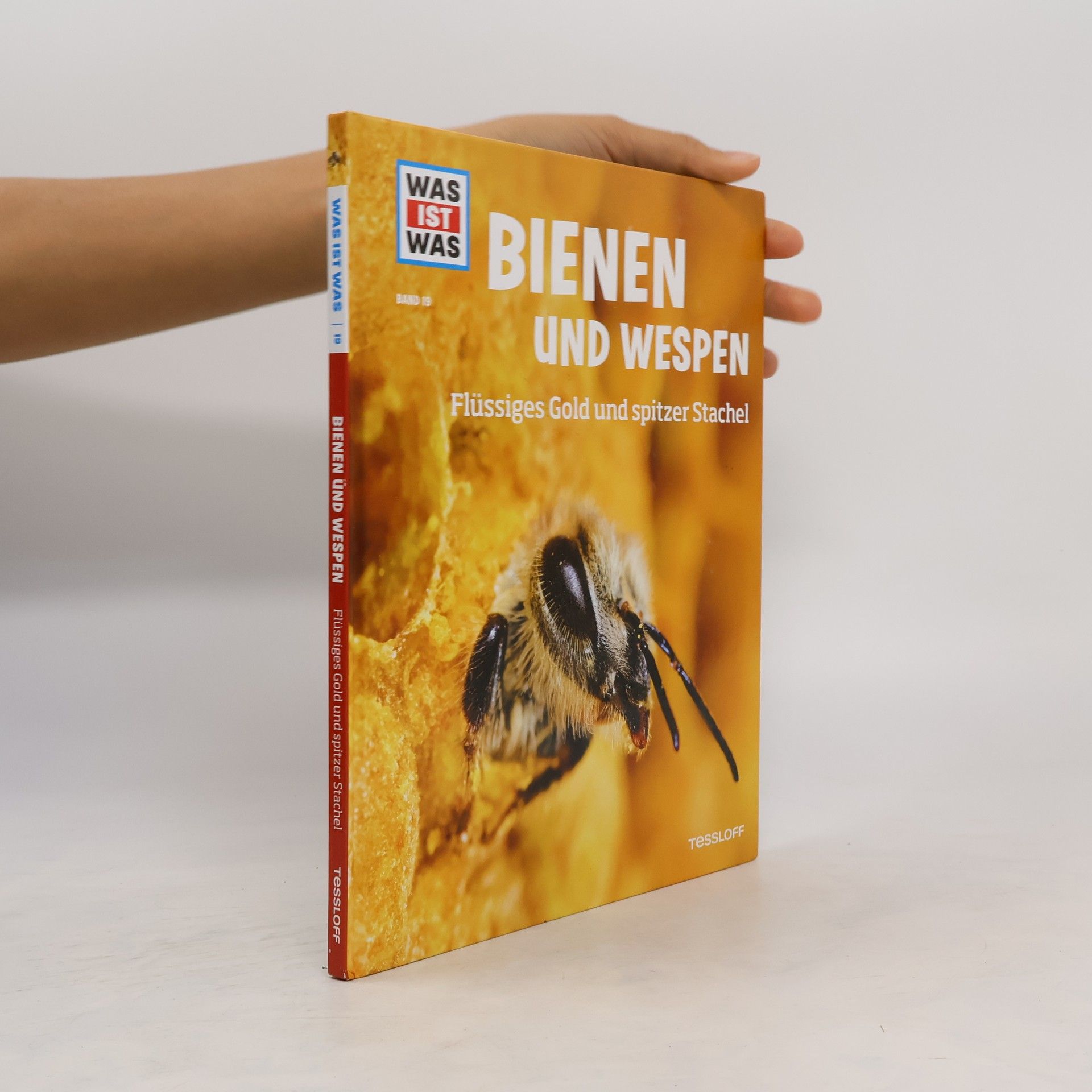 Alexandra Rigos Bienen und Wespen