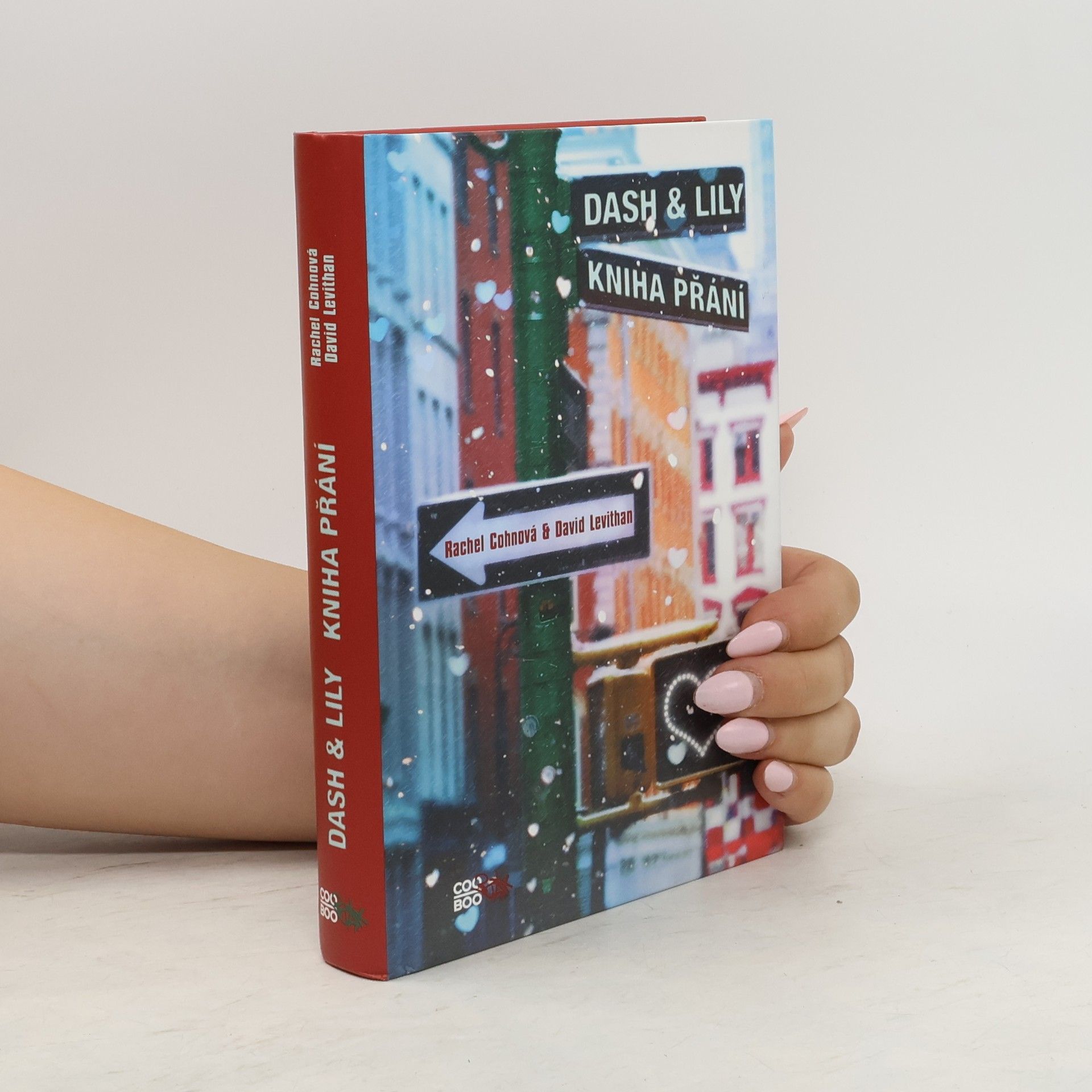 Rachel Cohn Dash & Lily: Kniha přání