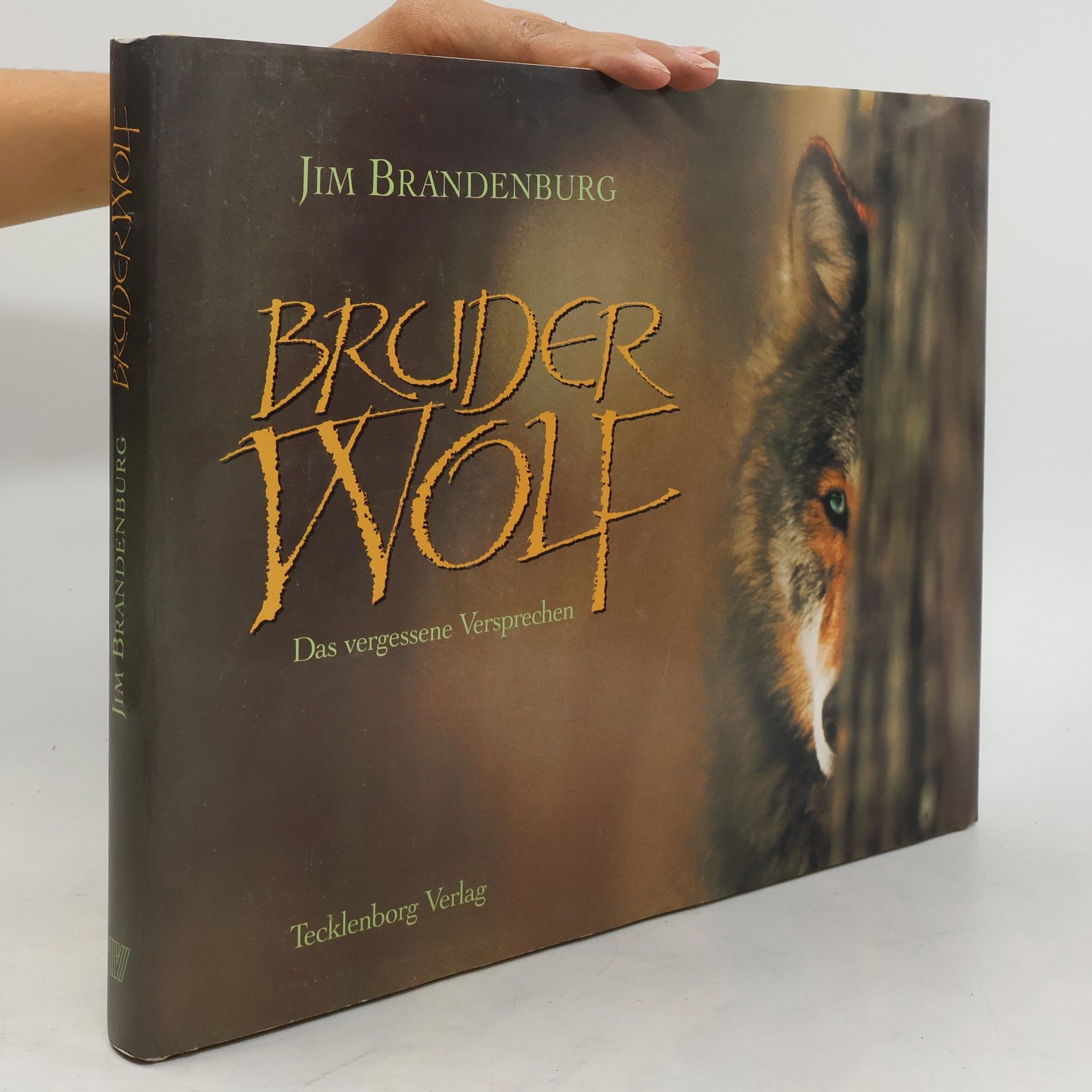 Jim Brandenburg Bruder Wolf