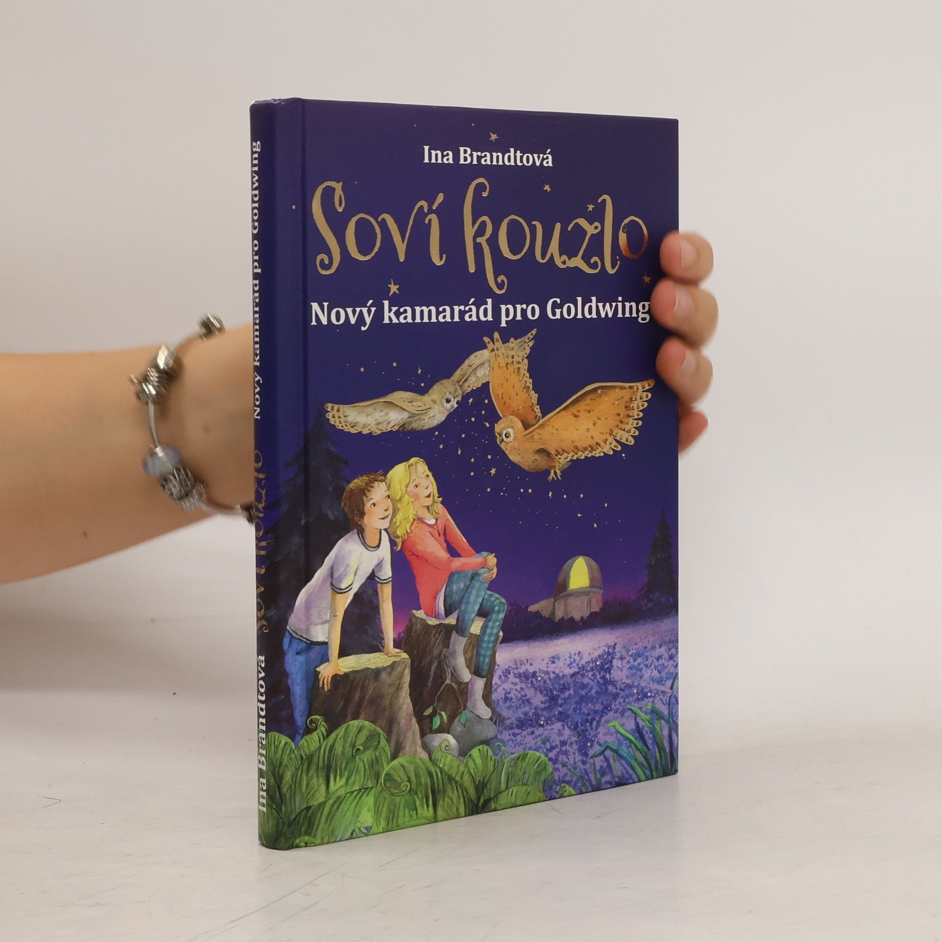 Soví kouzlo. Nový kamarád pro Goldwing