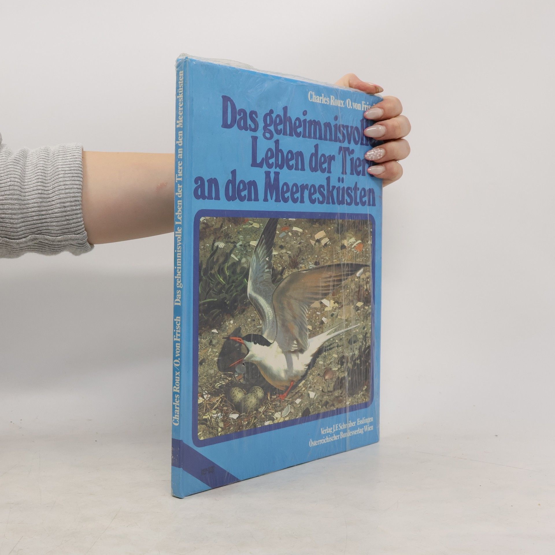 Charles Roux Das geheimnisvolle Leben der Tiere an den Meeresküsten