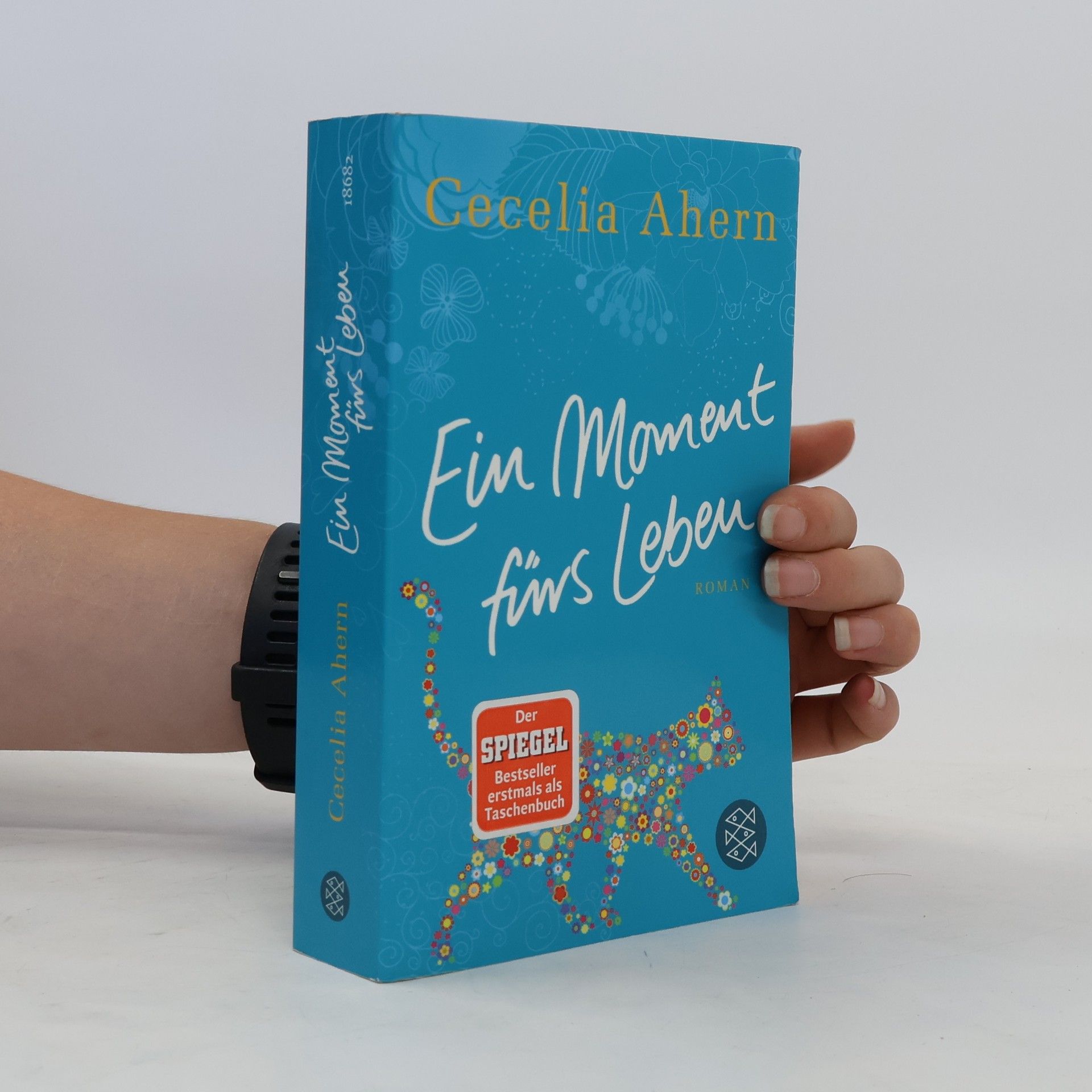 Cecelia Ahern Ein Moment fürs Leben