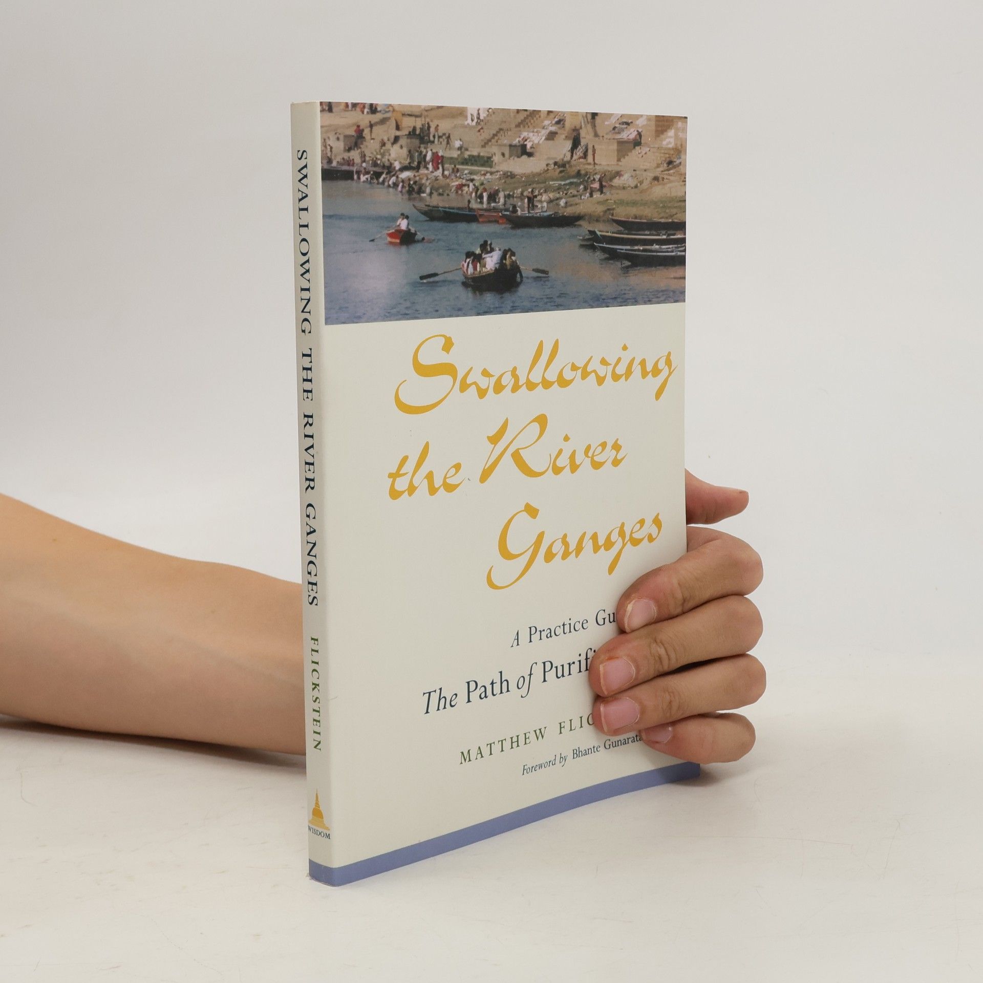 Matthew Flickstein Swallowing the River Ganges
