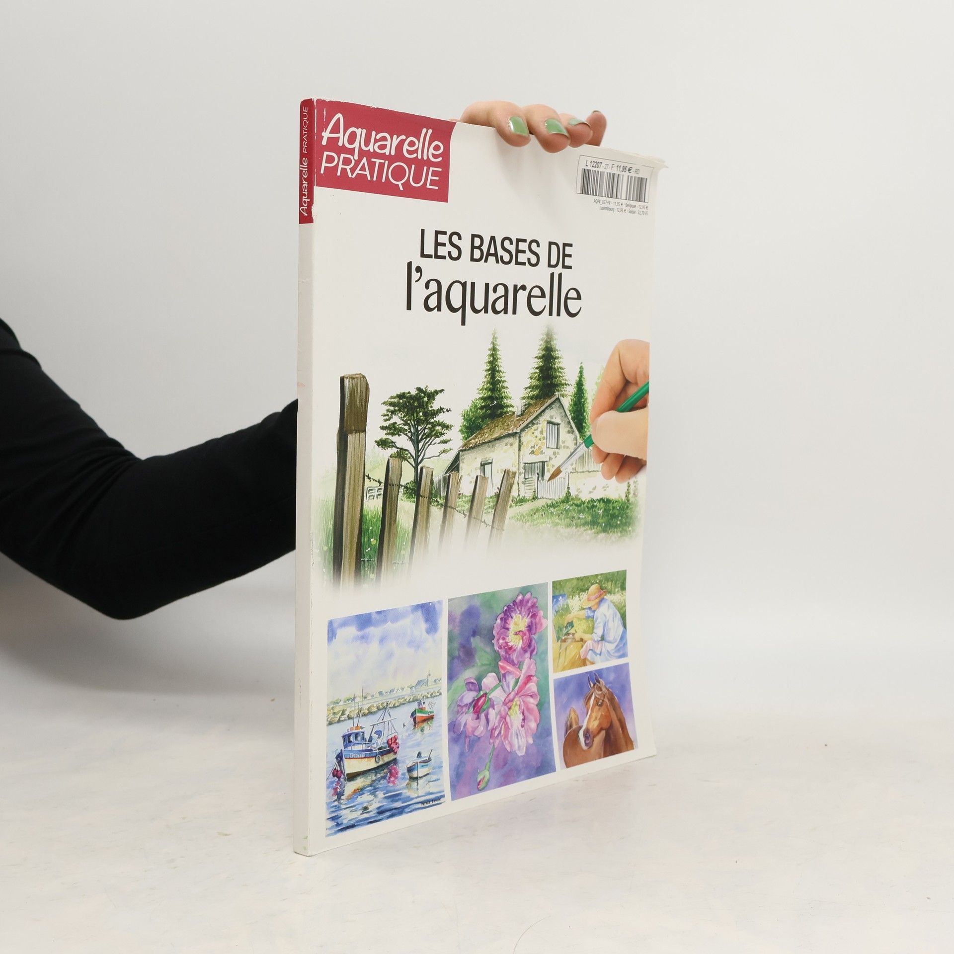 Collectif d'auteurs Les bases de l'aquarelle