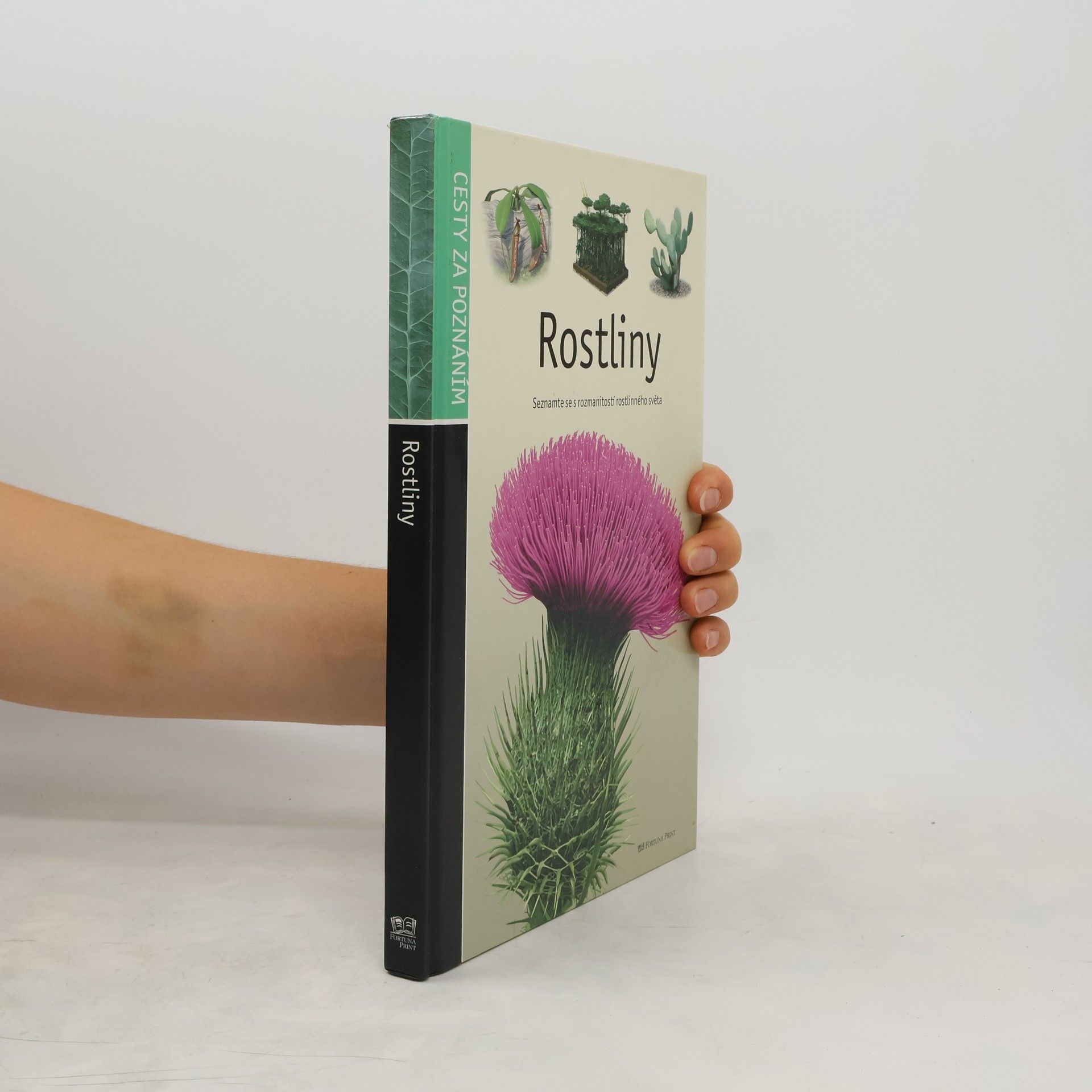 kolektiv Rostliny. Seznamte se s rozmanitostí rostlinného světa