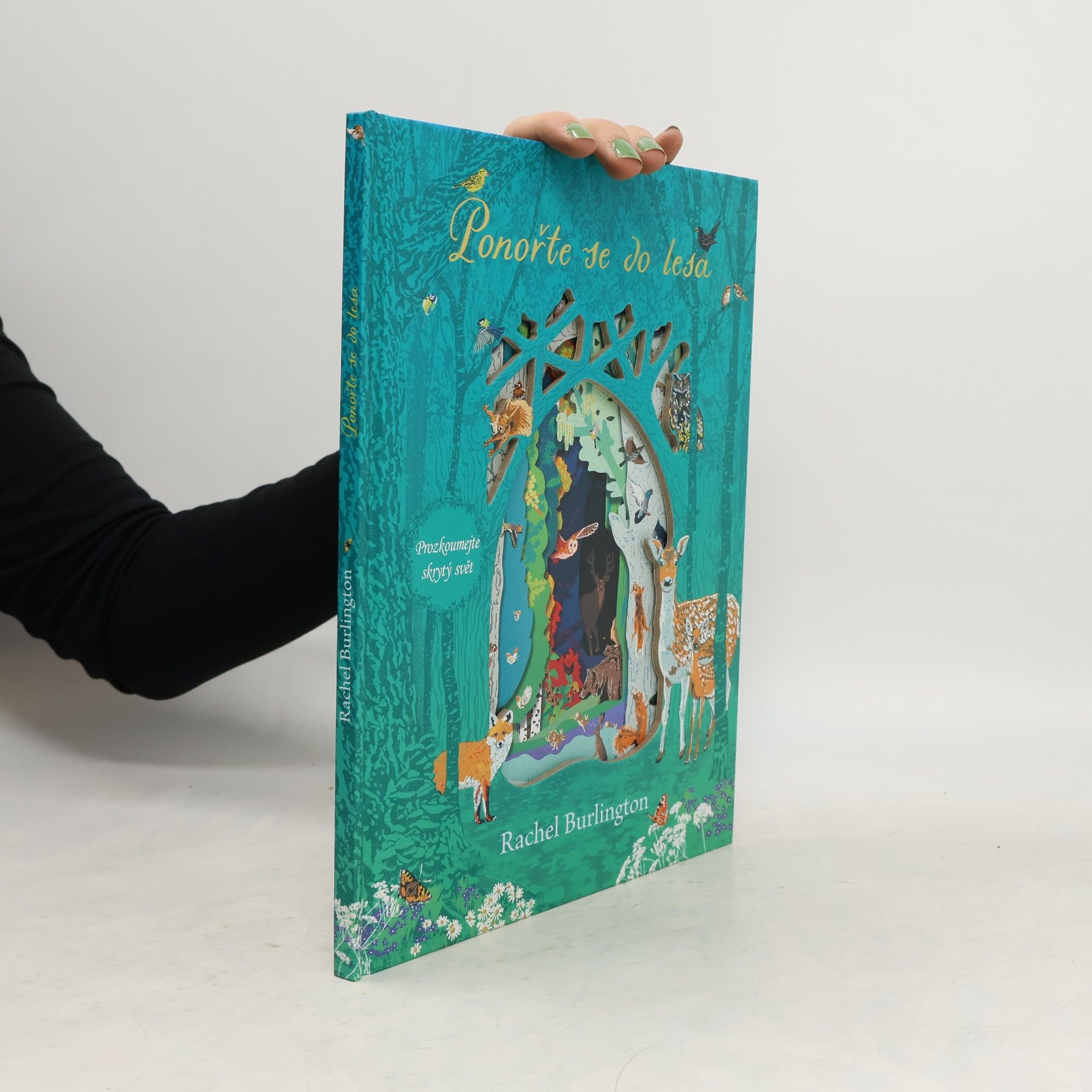 Rachel Burlington Ponořte se do lesa