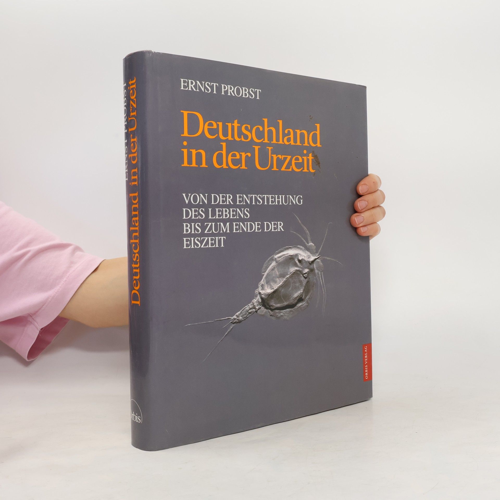 Serge Ernst Deutschland in der Urzeit. Von der Entstehung des Lebens bis zum Ende der Eiszeit.