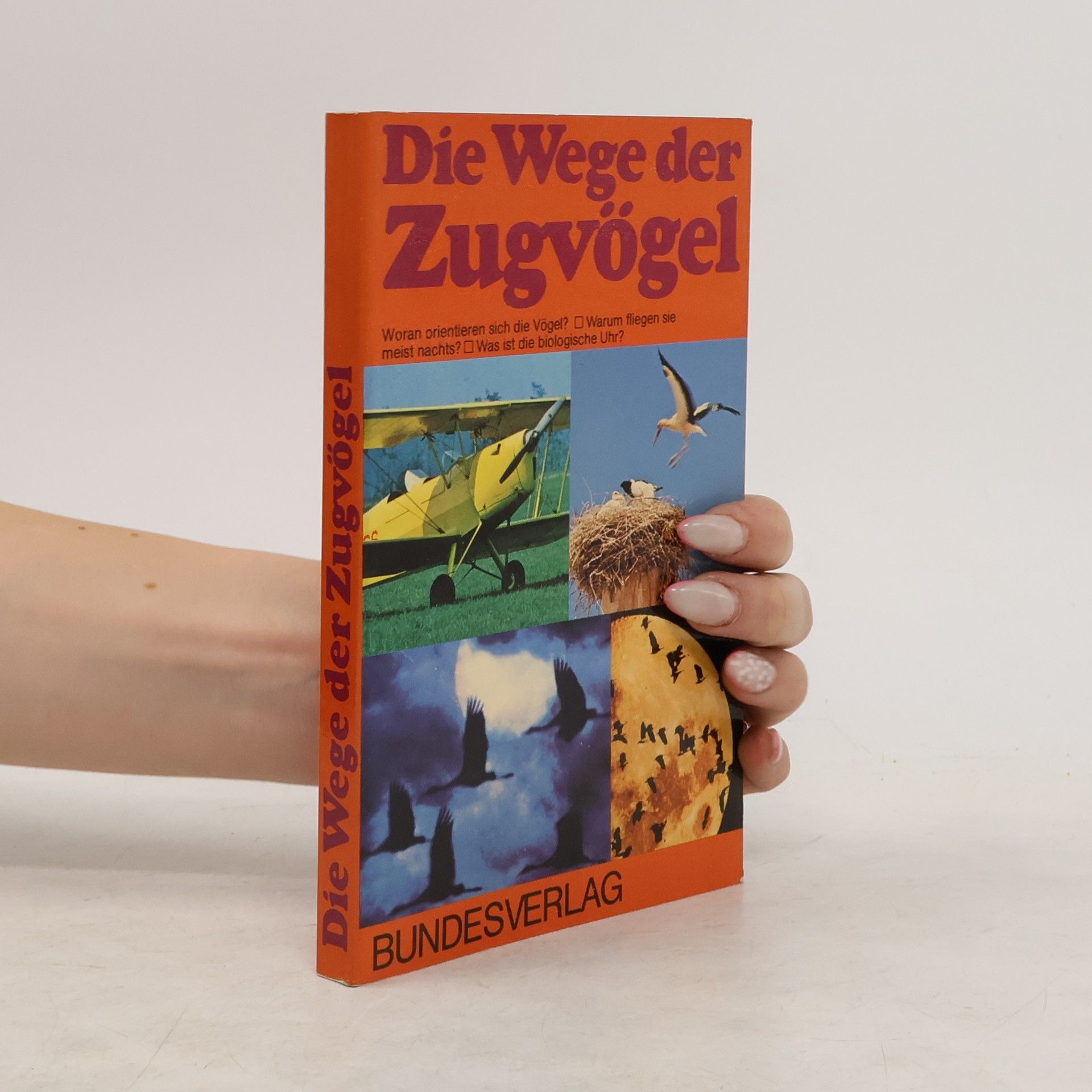 Autorenkollektiv Die Wege der Zugvögel