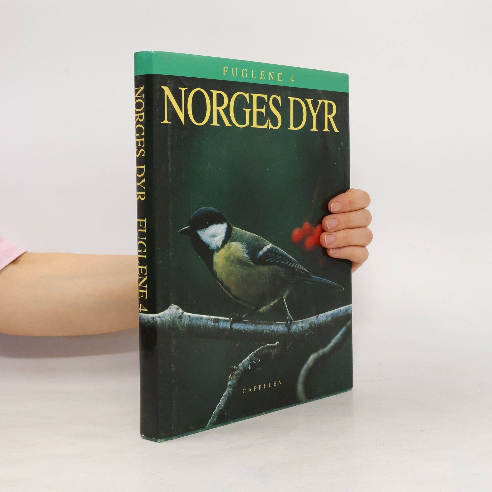 Autorenkollektiv Fuglene 4