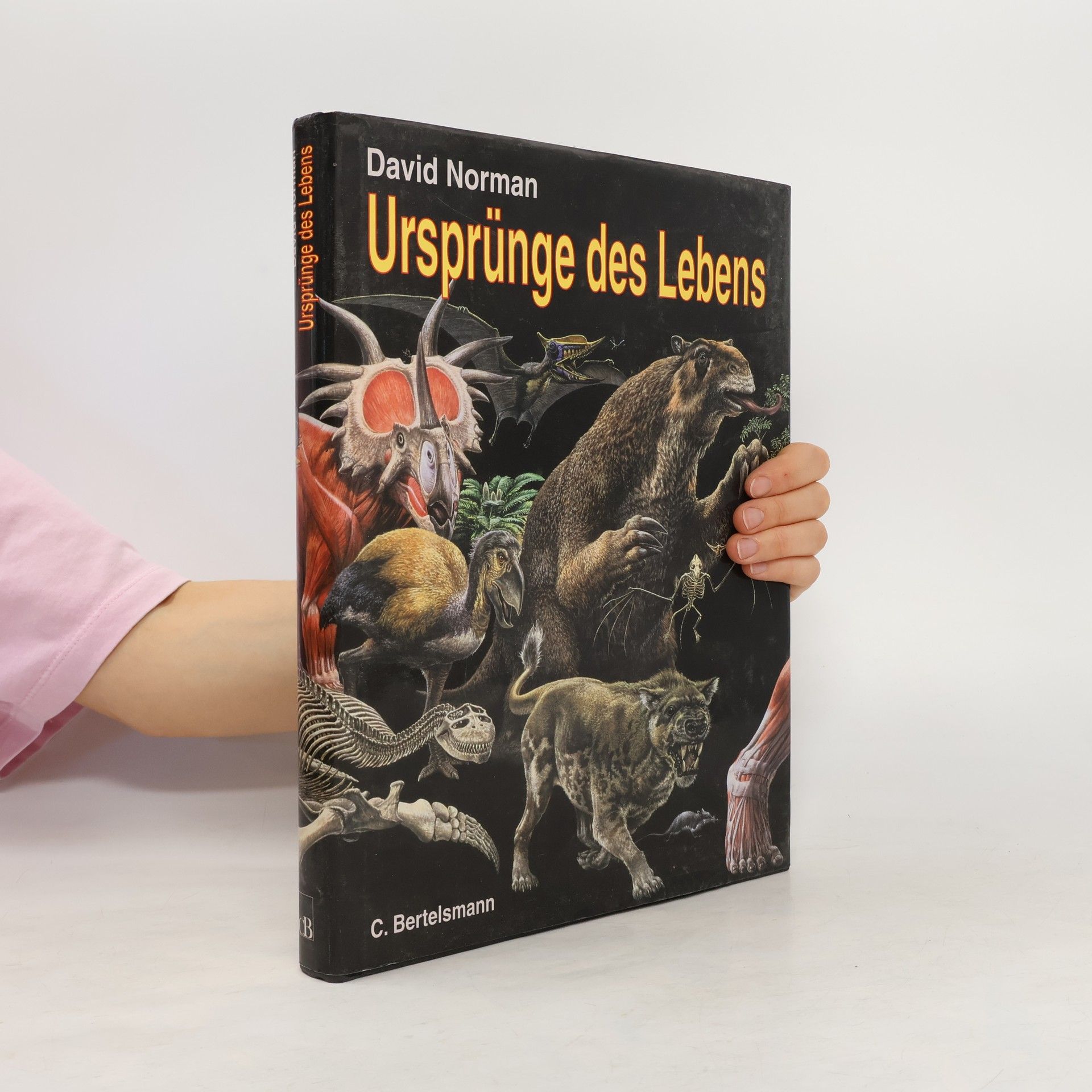 David B. Norman Ursprünge des Lebens
