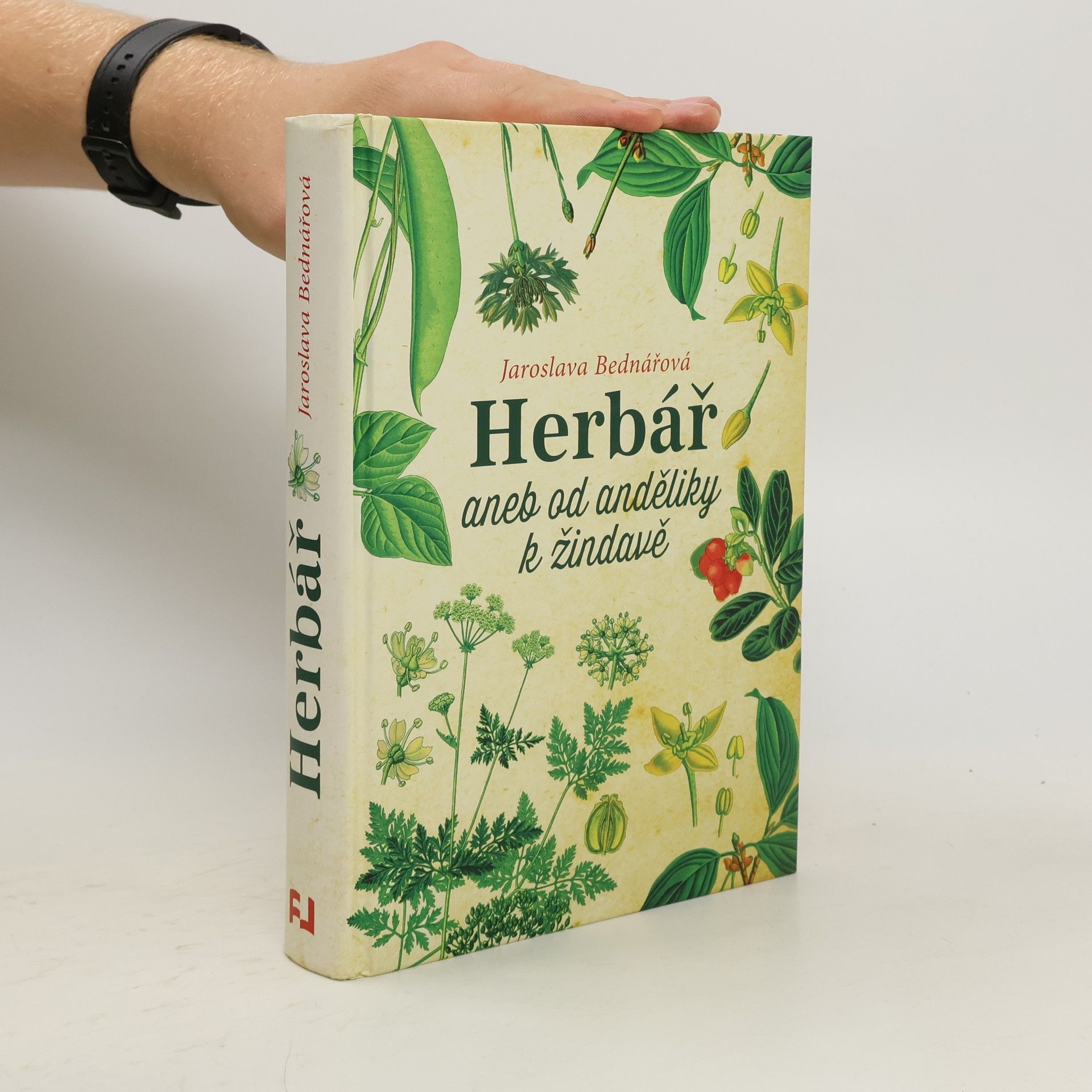 Jaroslava Bednářová Herbář, aneb, Od anděliky k žindavě