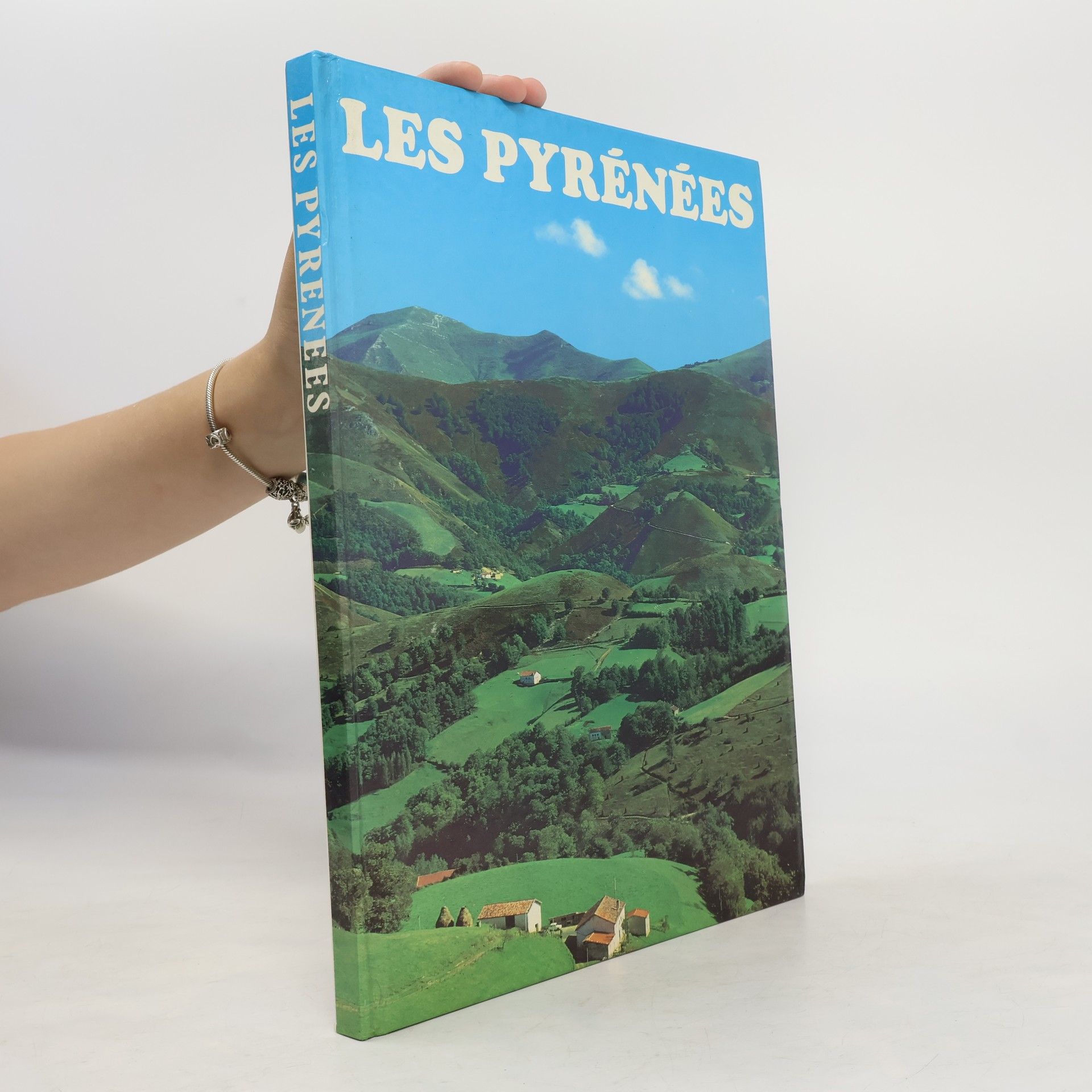 Jean Mathé Les Pyrénées