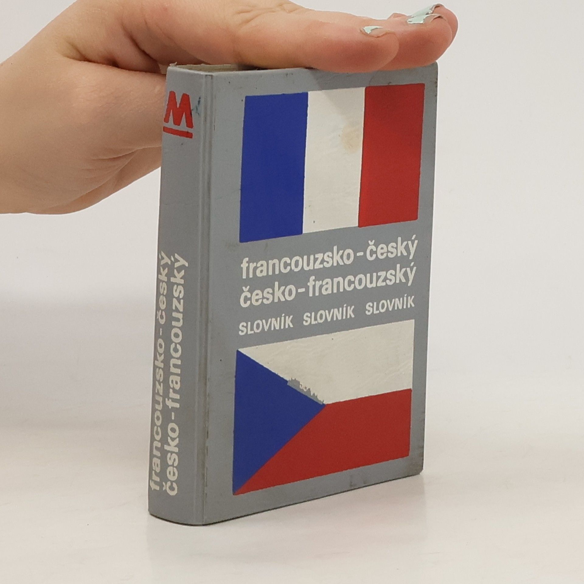 Marie Murzinová Francouzsko-český a Česko-francouzský slovník
