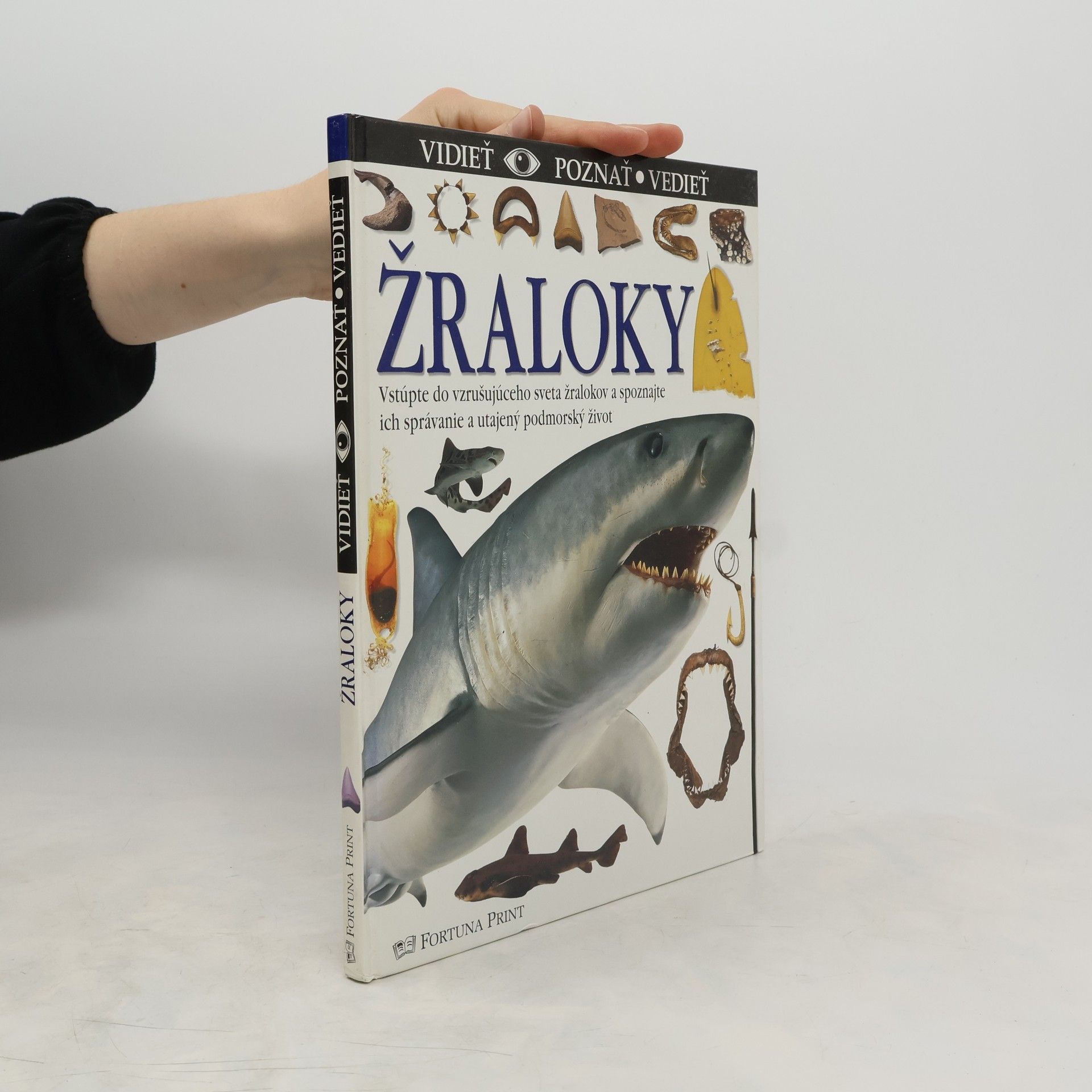 kolektiv Žraloky