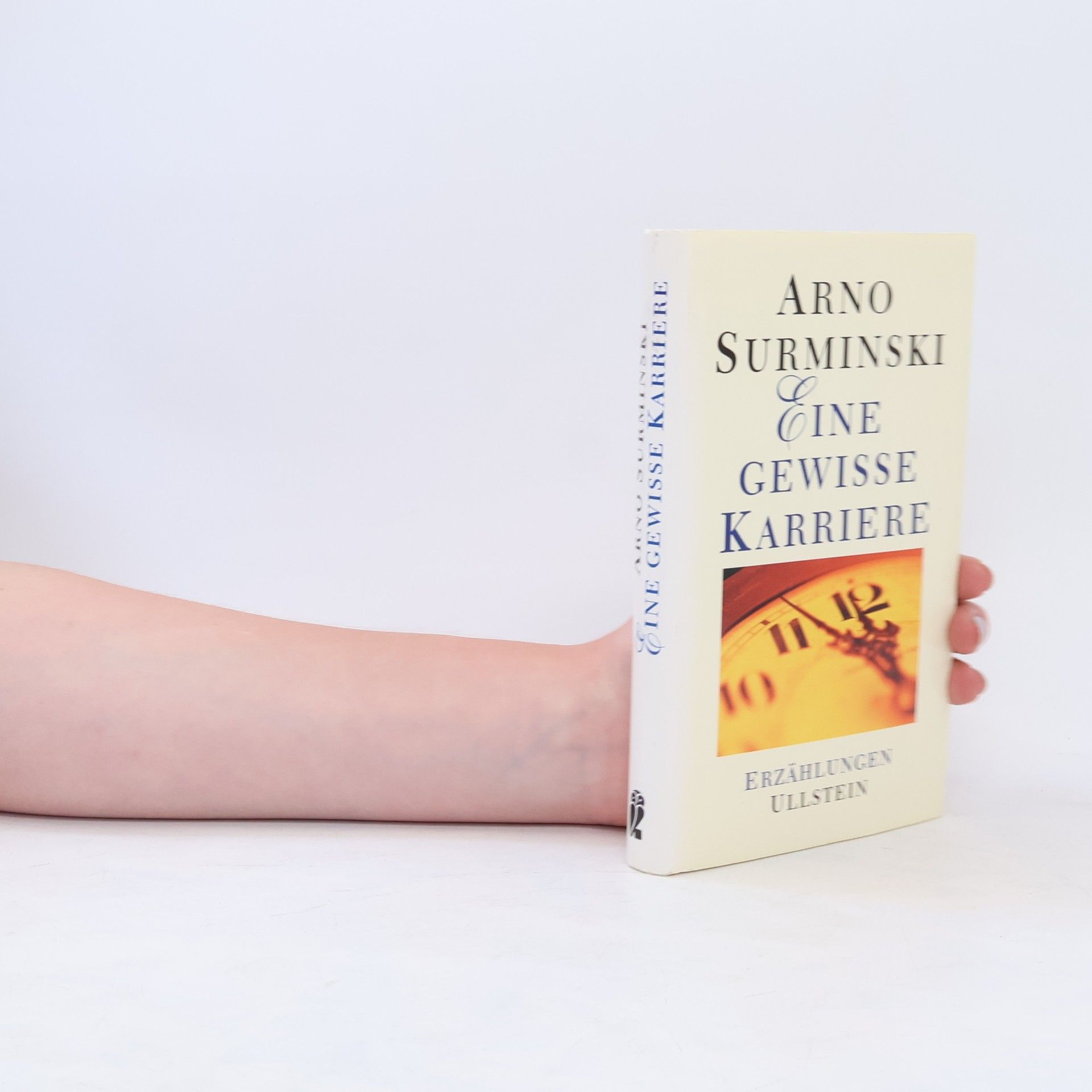Arno Surminski Eine gewisse Karriere