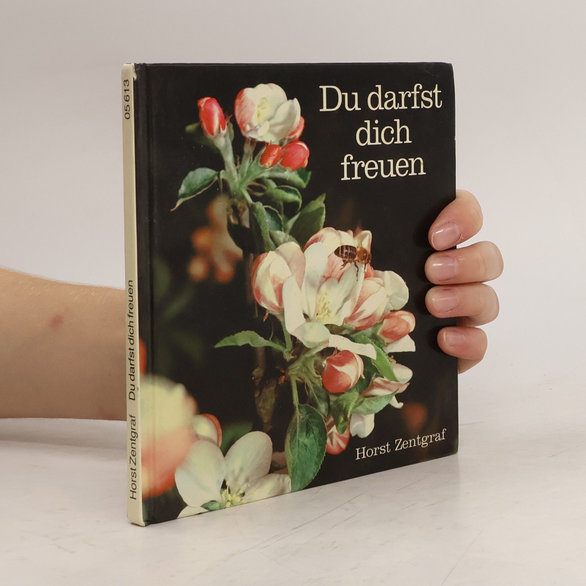 Horst Zentgraf Du darfst dich freuen