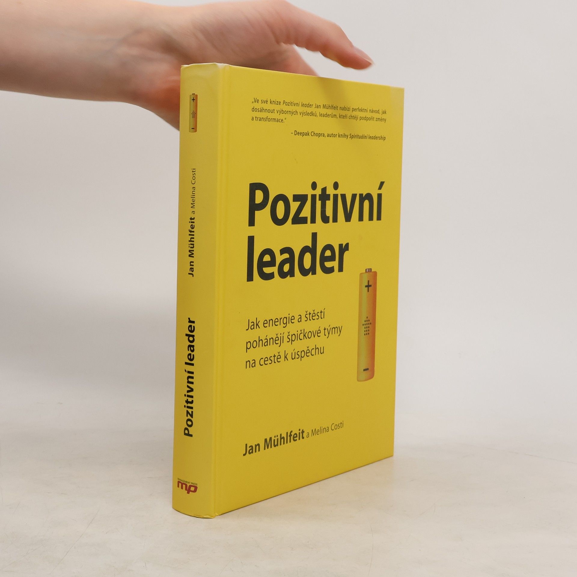 Jan Mühlfeit Pozitivní leader