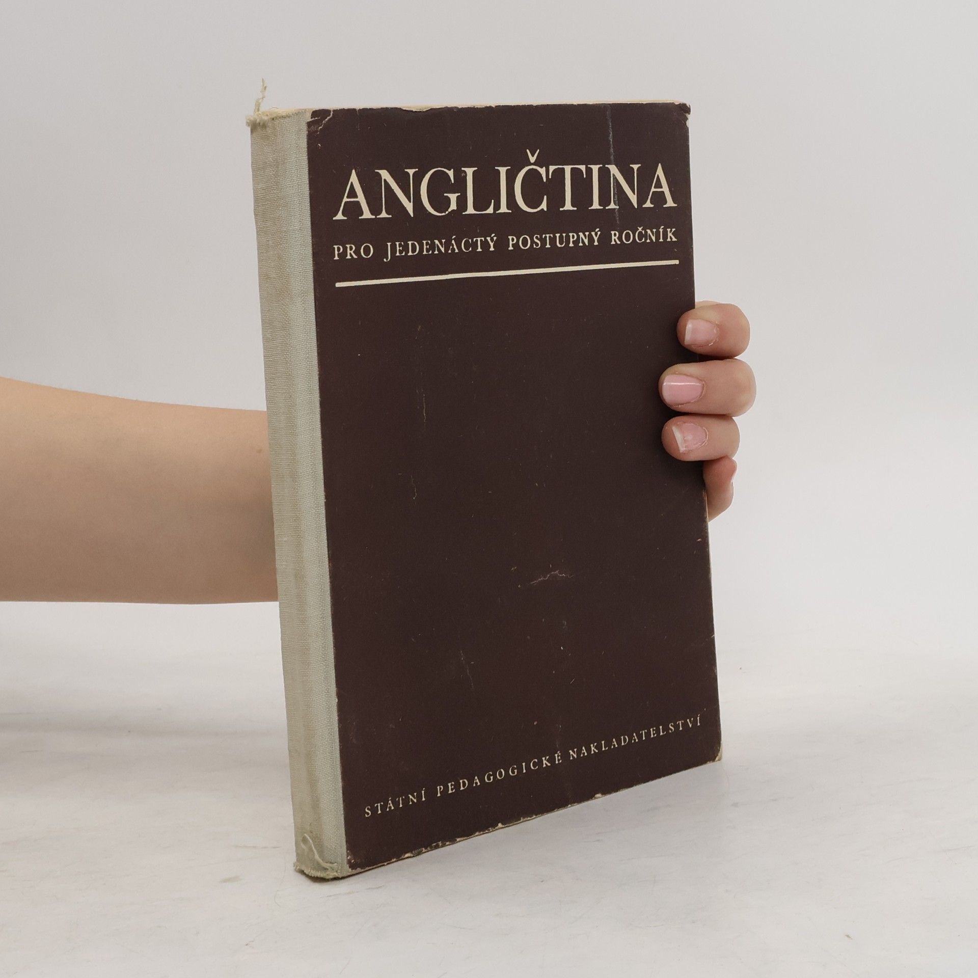 Autorenkollektiv Angličtina pro jedenáctý postupný ročník