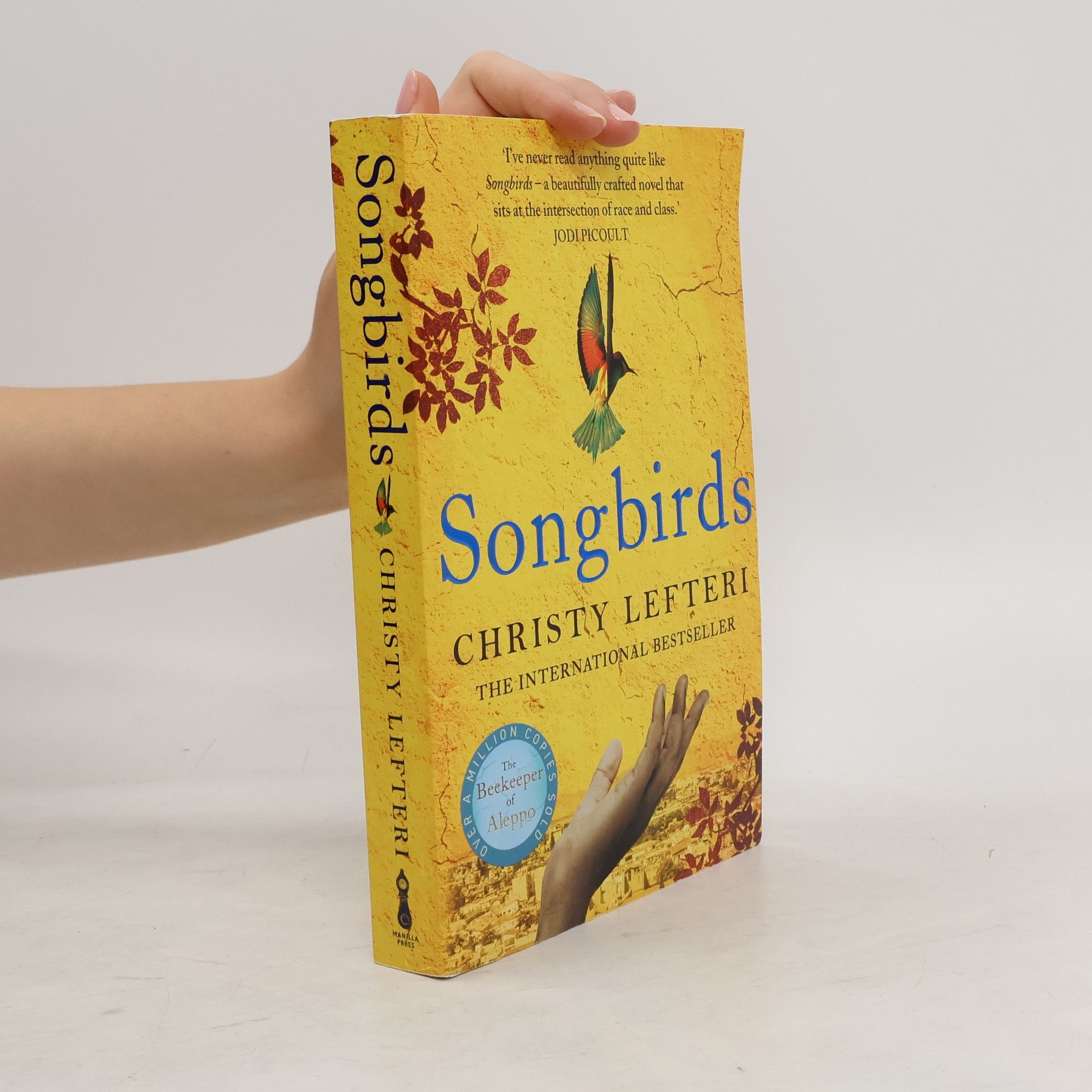 Christy Lefteri Songbirds