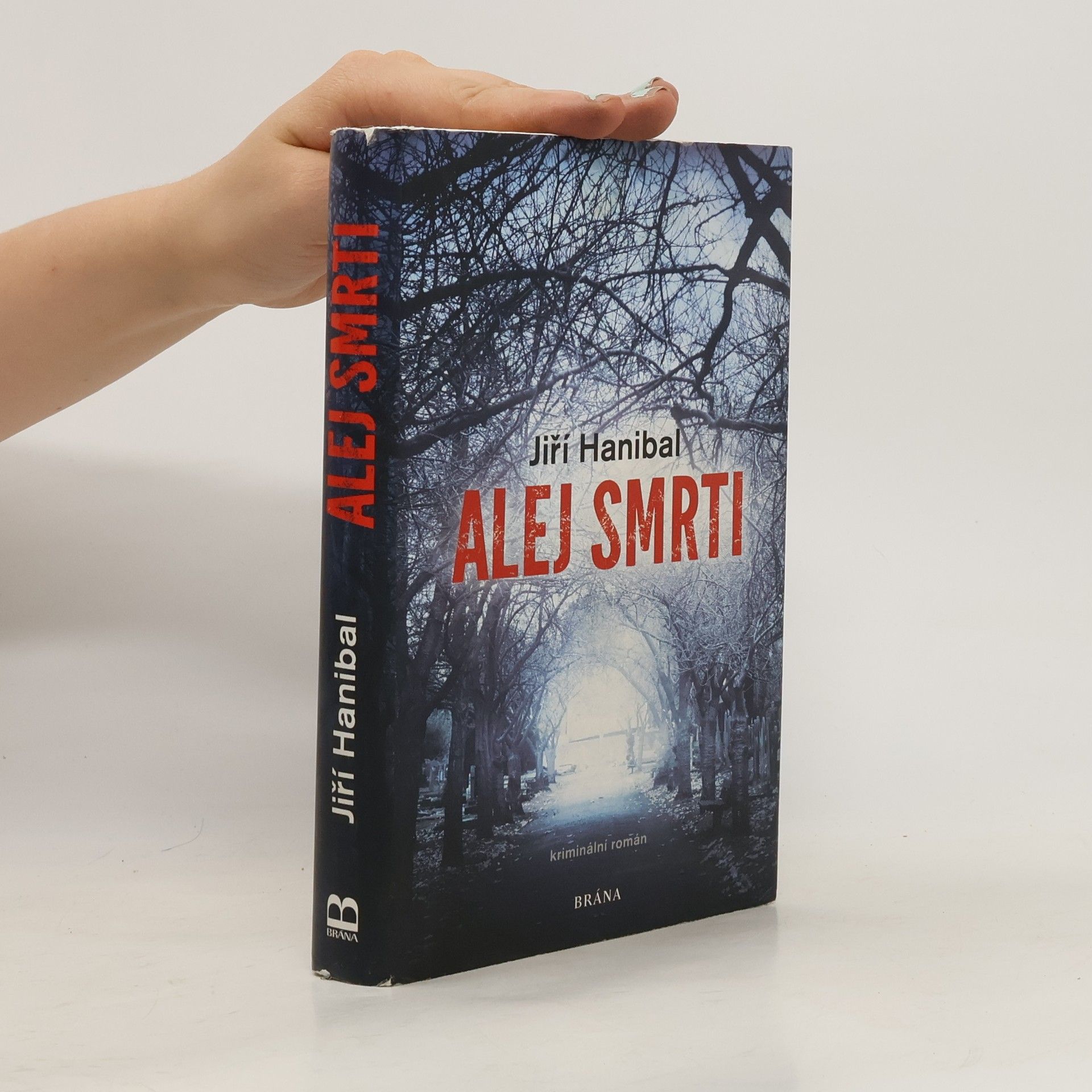 Jiří Hanibal Alej smrti