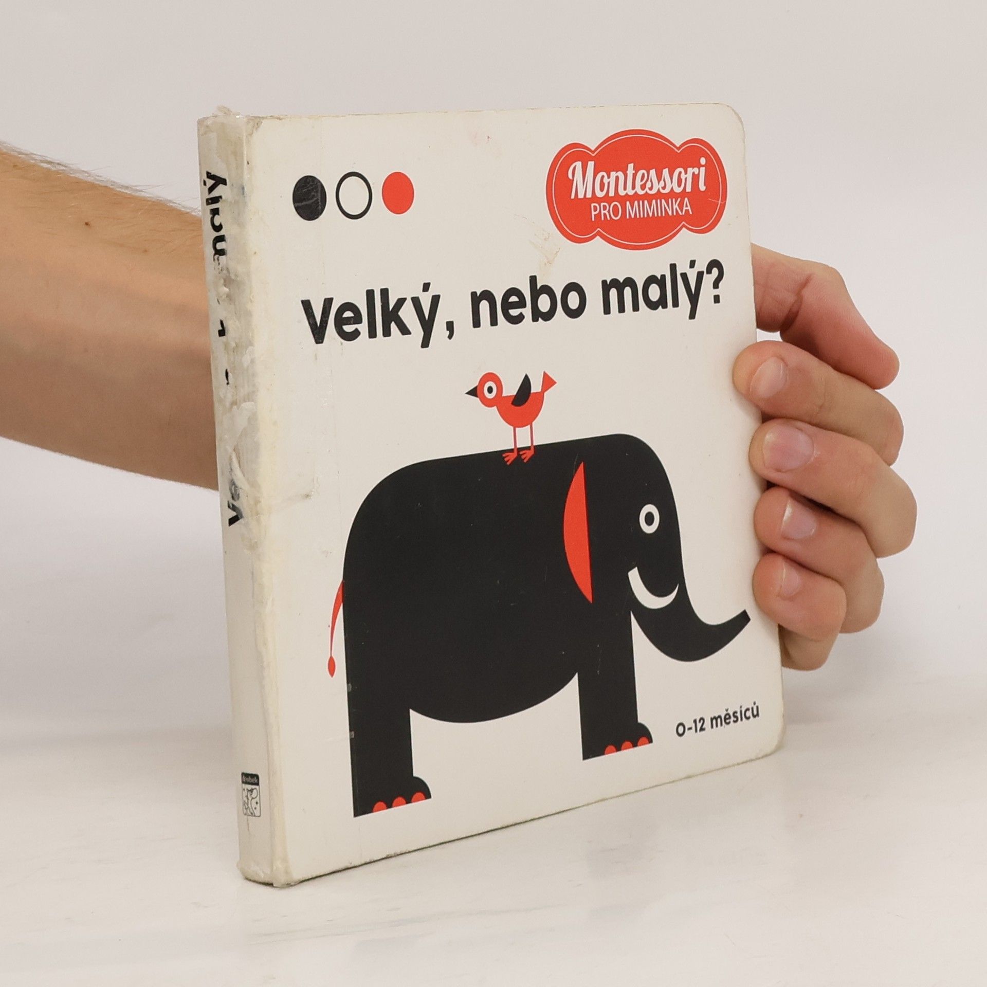 Agnese Baruzzi Velký, nebo malý?