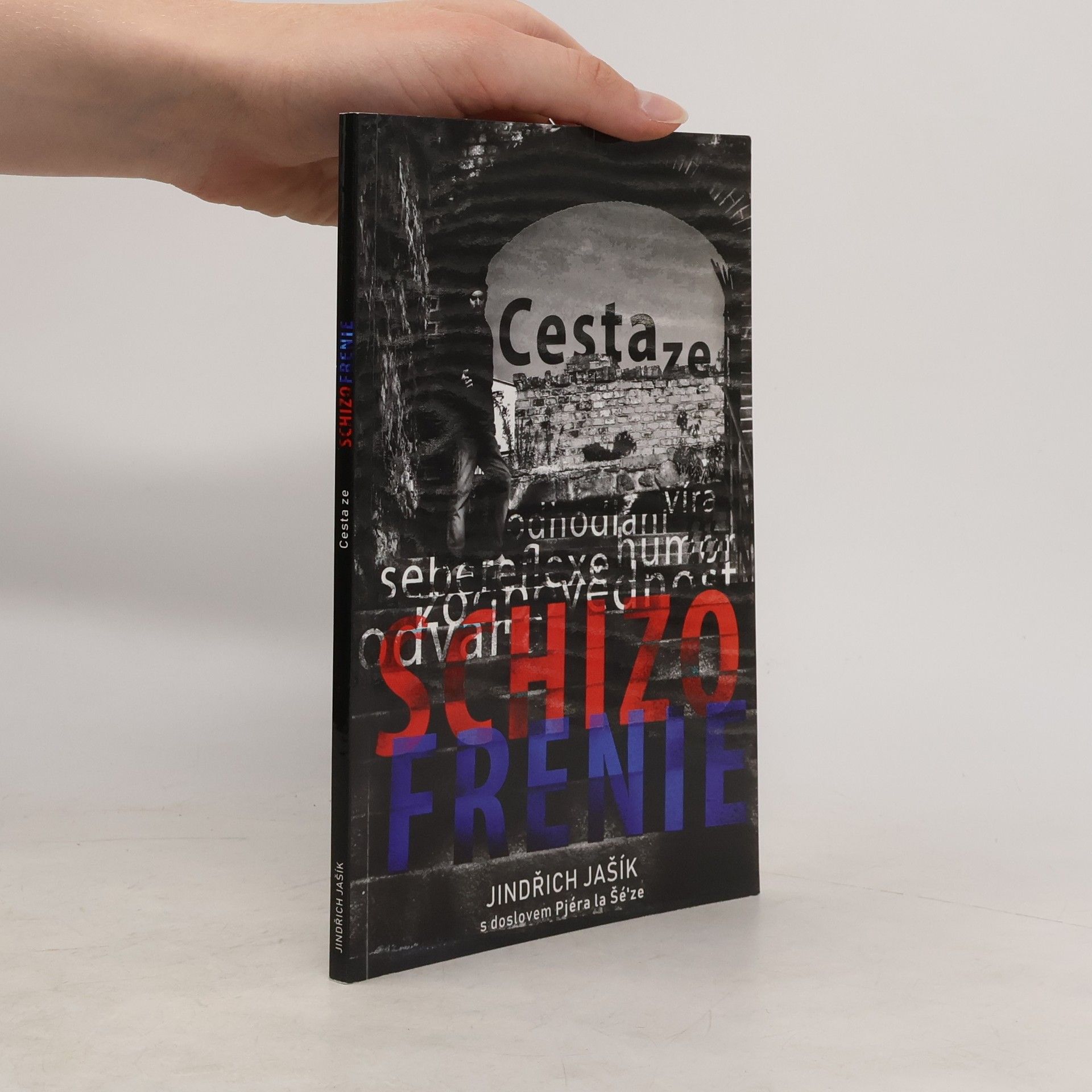 Jindřich Jašík Cesta ze schizofrenie