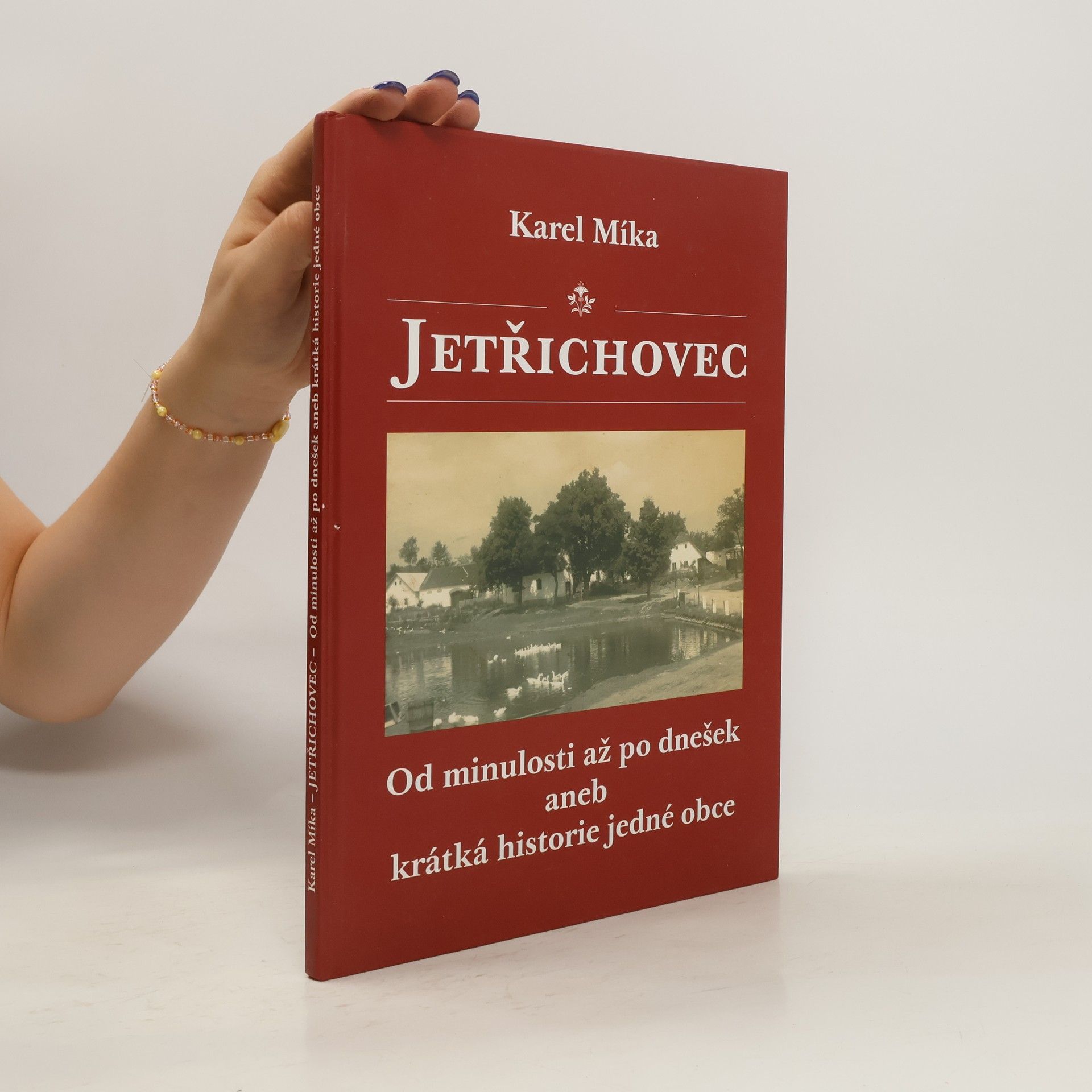 Karel Mika Jetřichovec