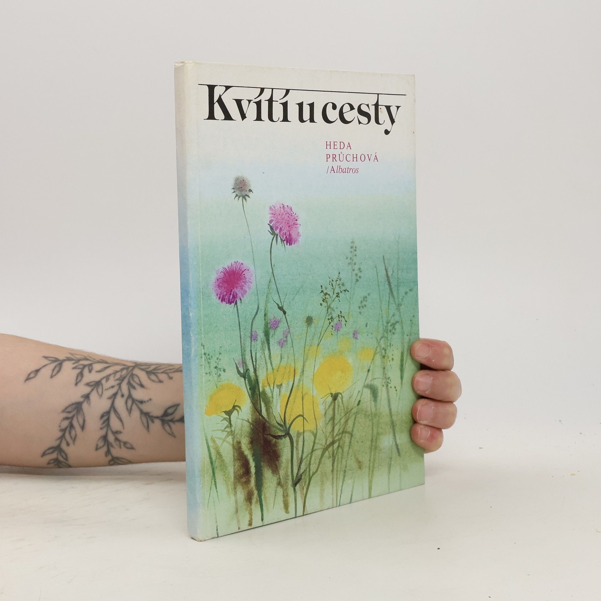 Průchová Heda Kvítí u cesty