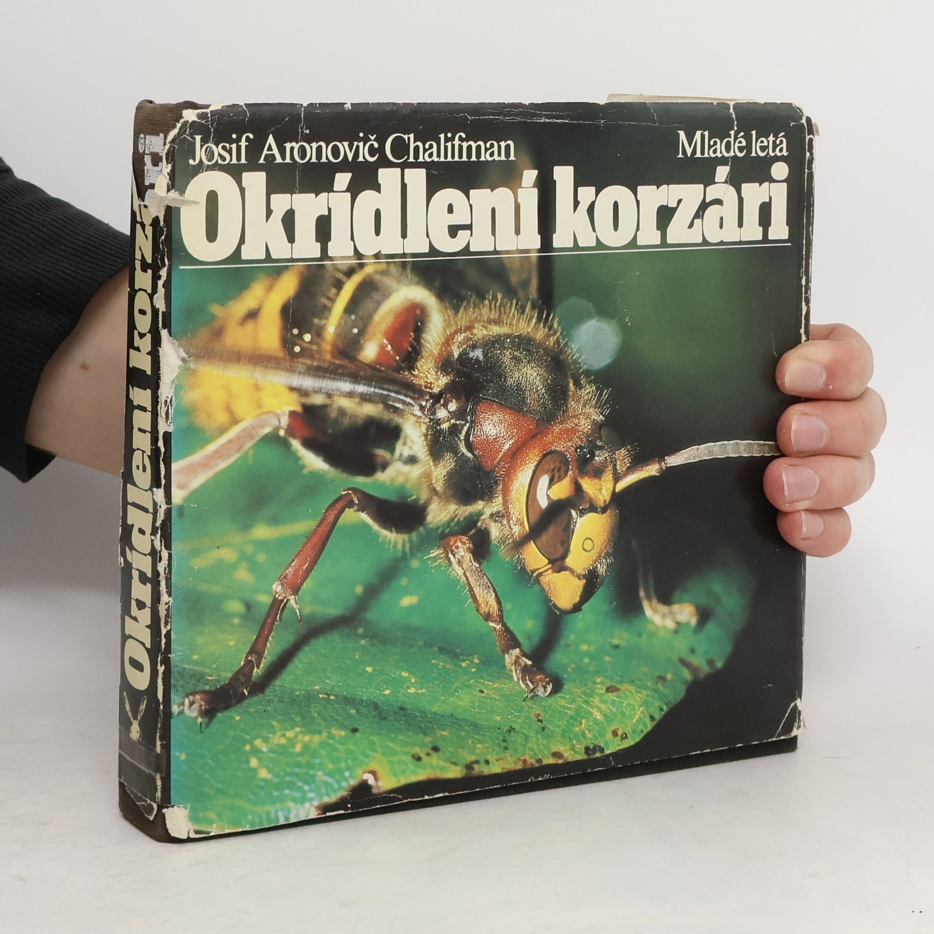 Iosif Aronovič Chalifman Okrídlení korzári