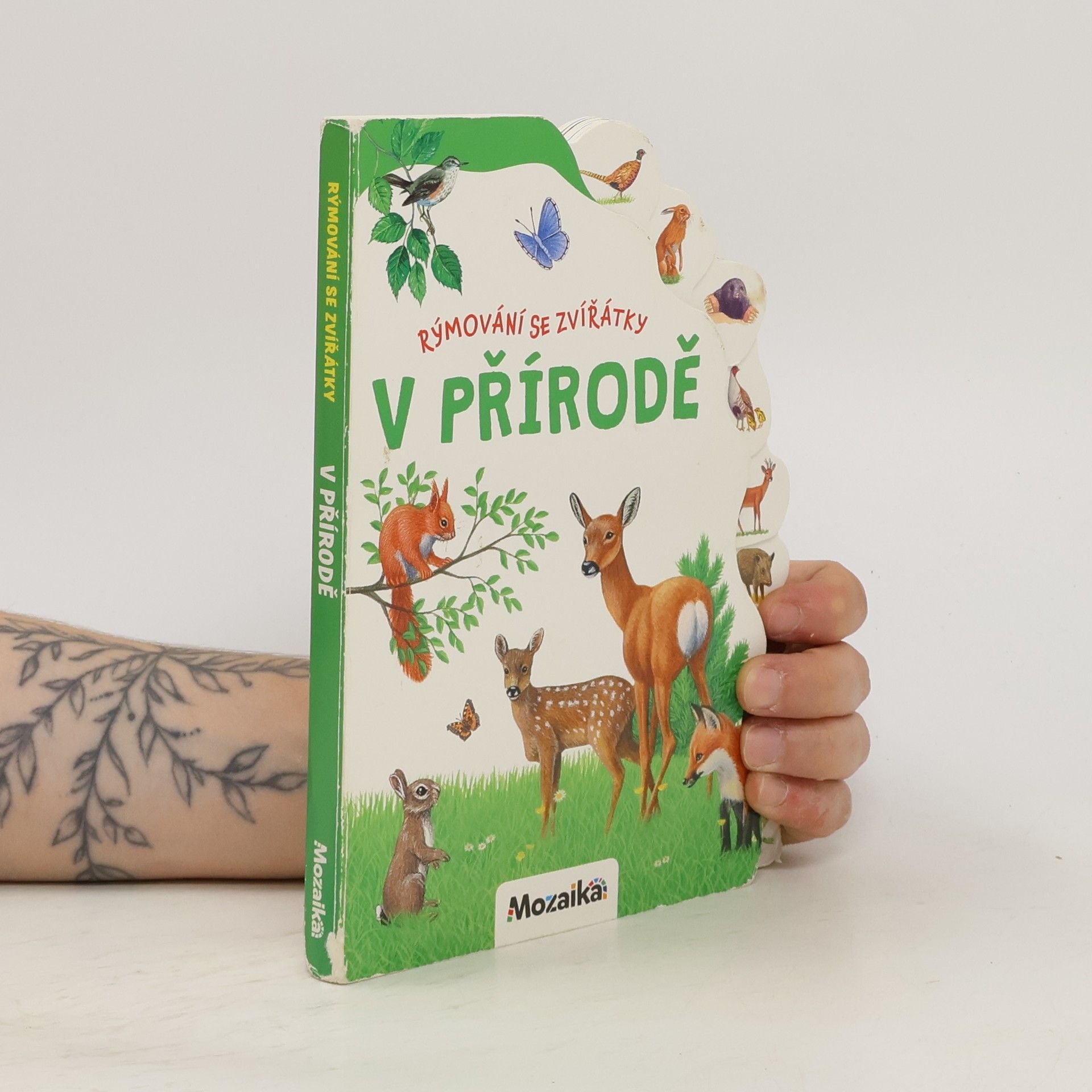 kolektiv Rýmování se zvířátky: V přírodě
