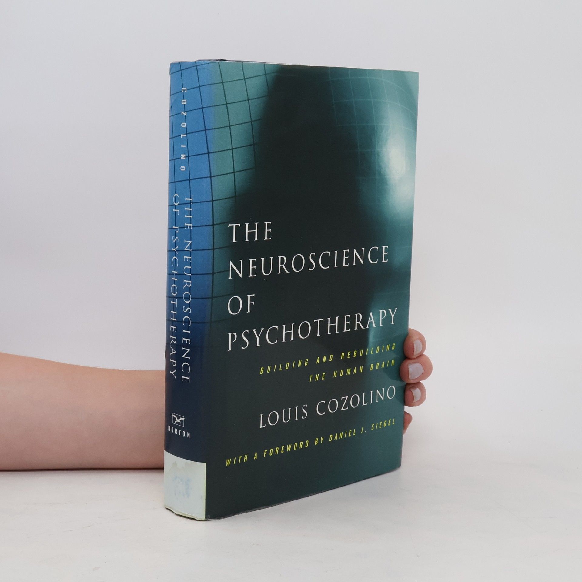 Louis J. Cozolino The Neuroscience of Psychotherapy