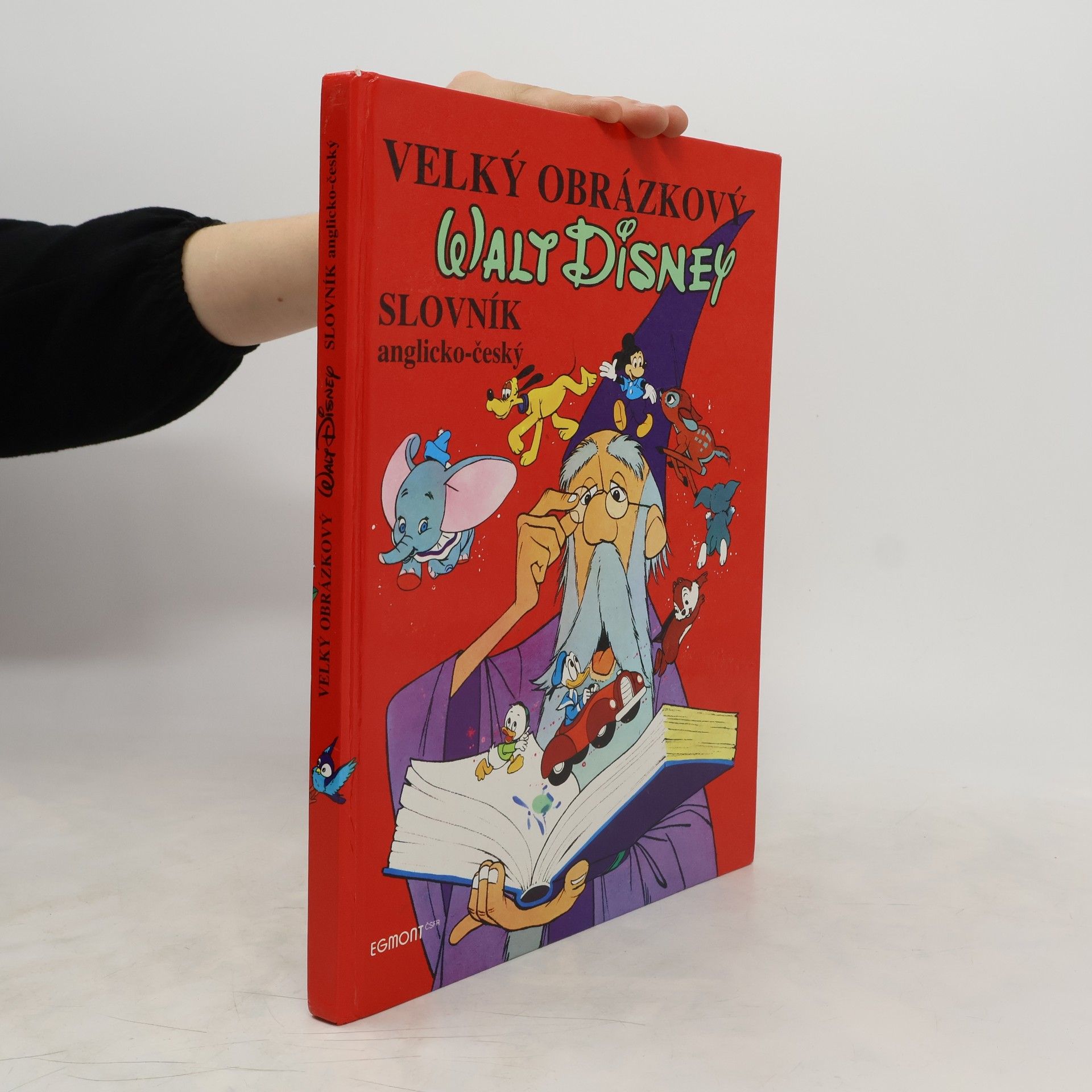 Walt Disney Velký obrázkový slovník anglicko-český