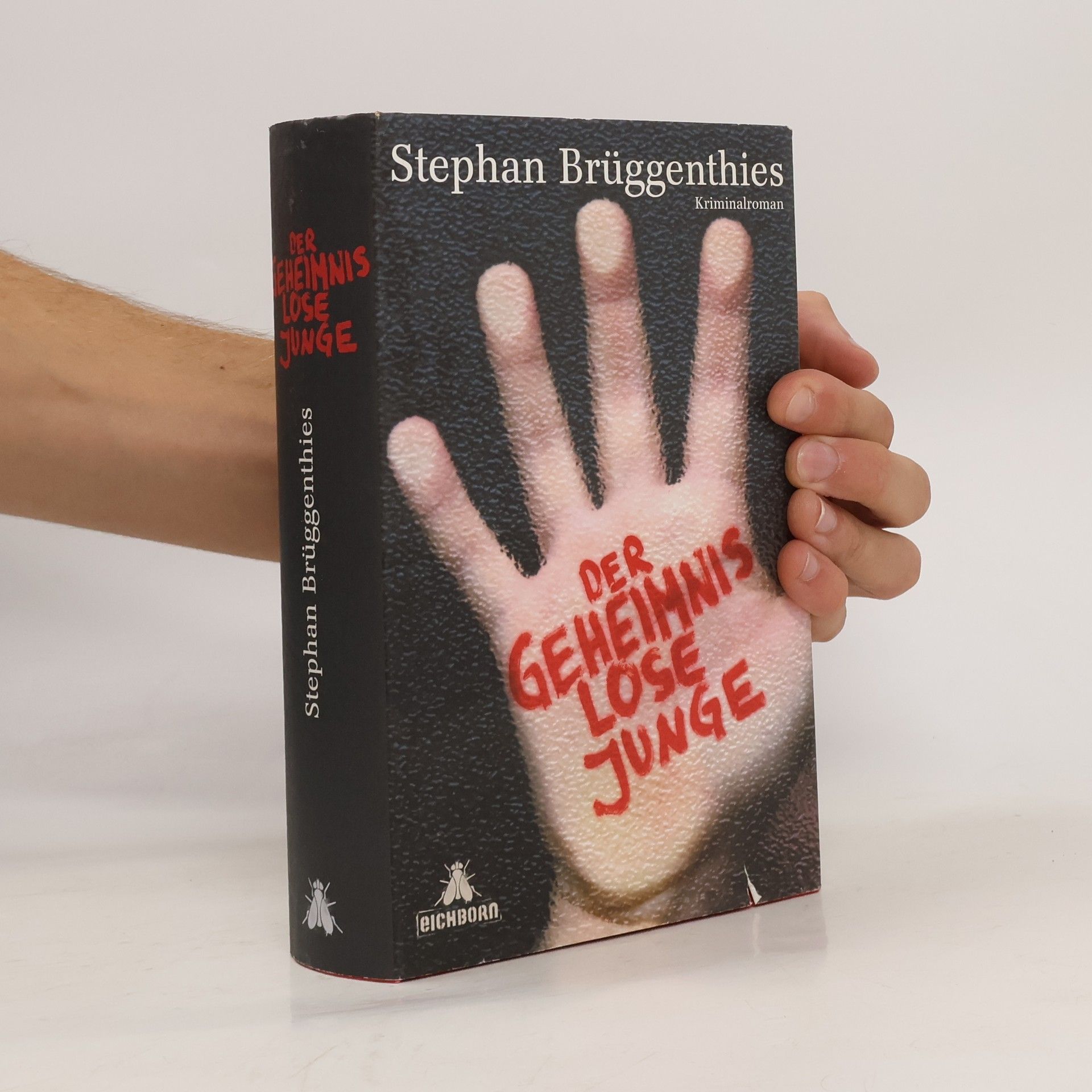 Stephan Brüggenthies Der geheimnislose Junge