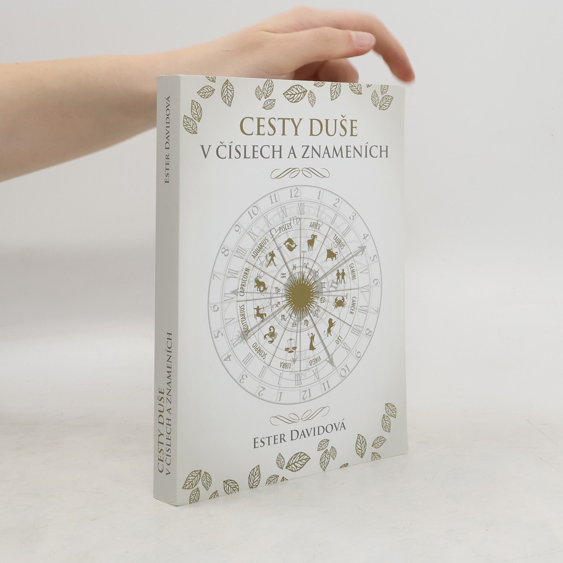 Ester Davidová Cesty duše v číslech a znameních