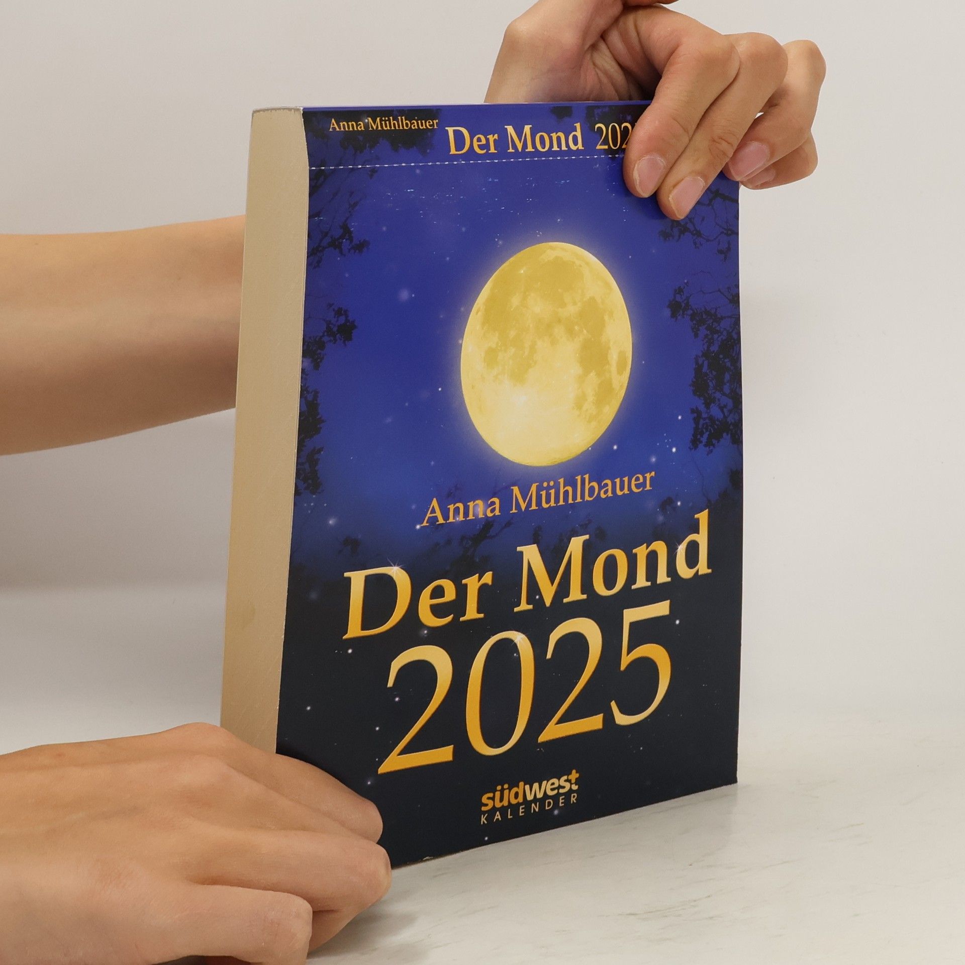 Anna Mühlbauer Der Mond 2025 - Tagesabreißkalender