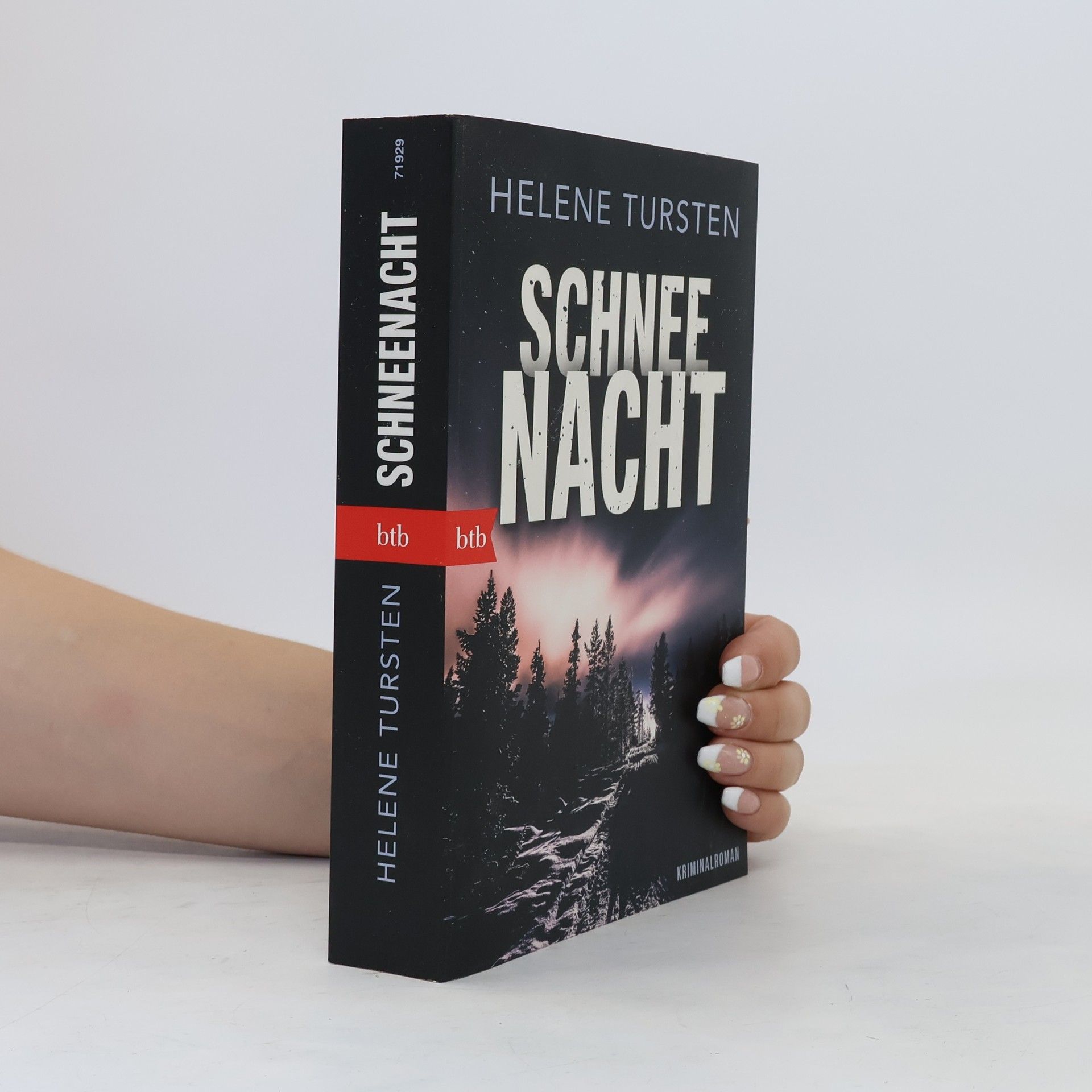 Helene Tursten Schneenacht